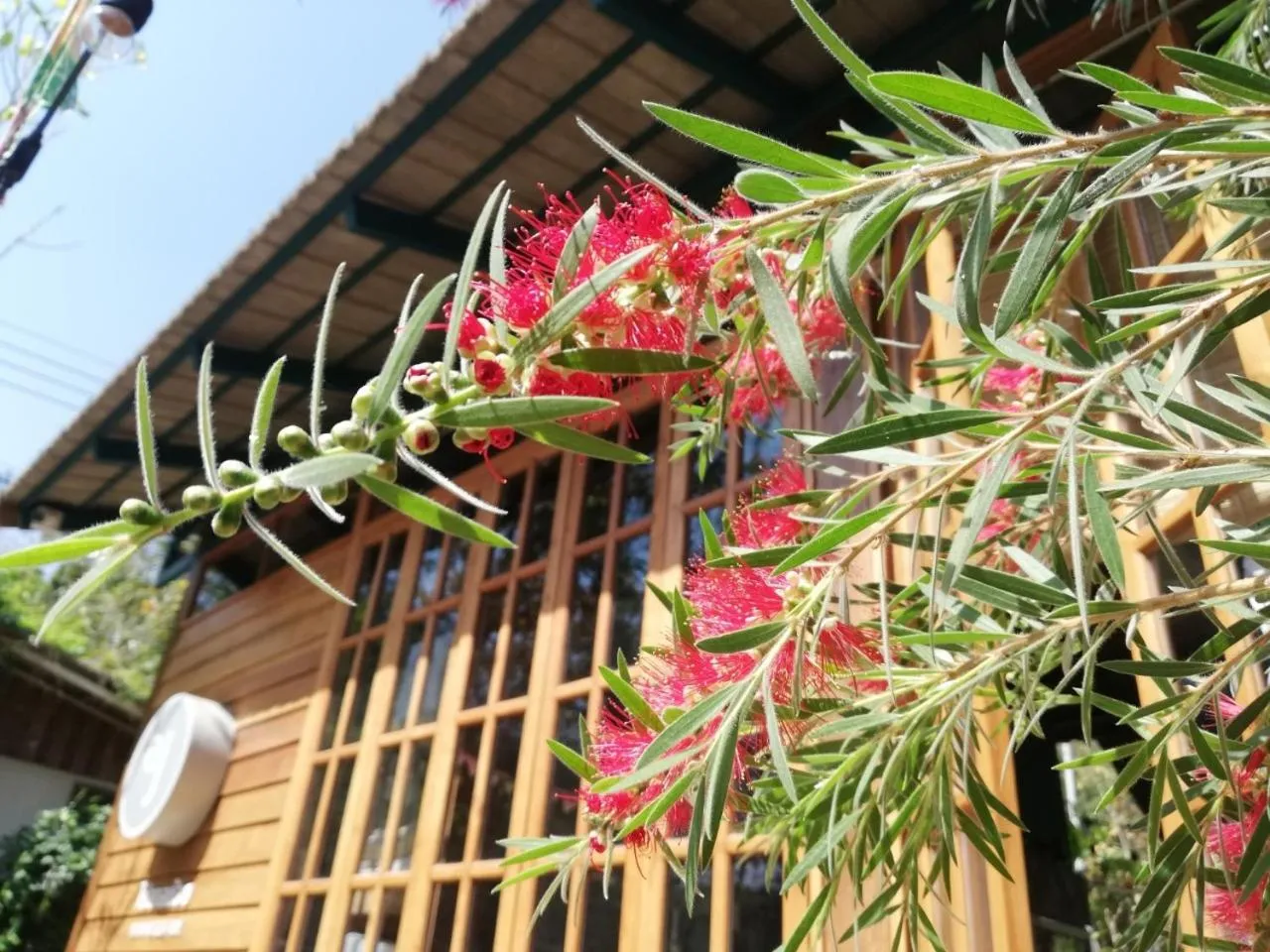 Property building in Paiyannoi Guesthome