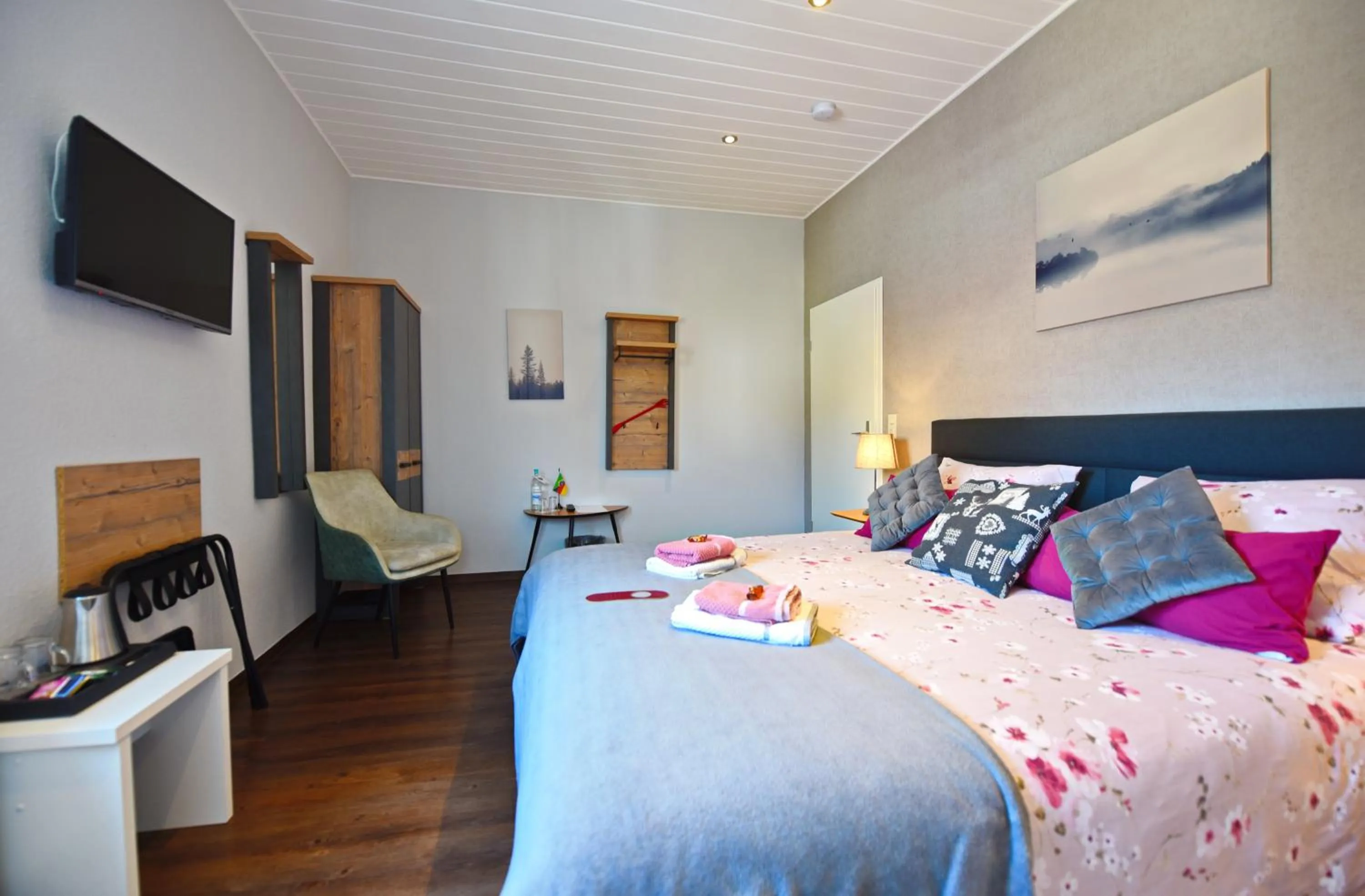 TV and multimedia, Bed in Hotel Wappenhof