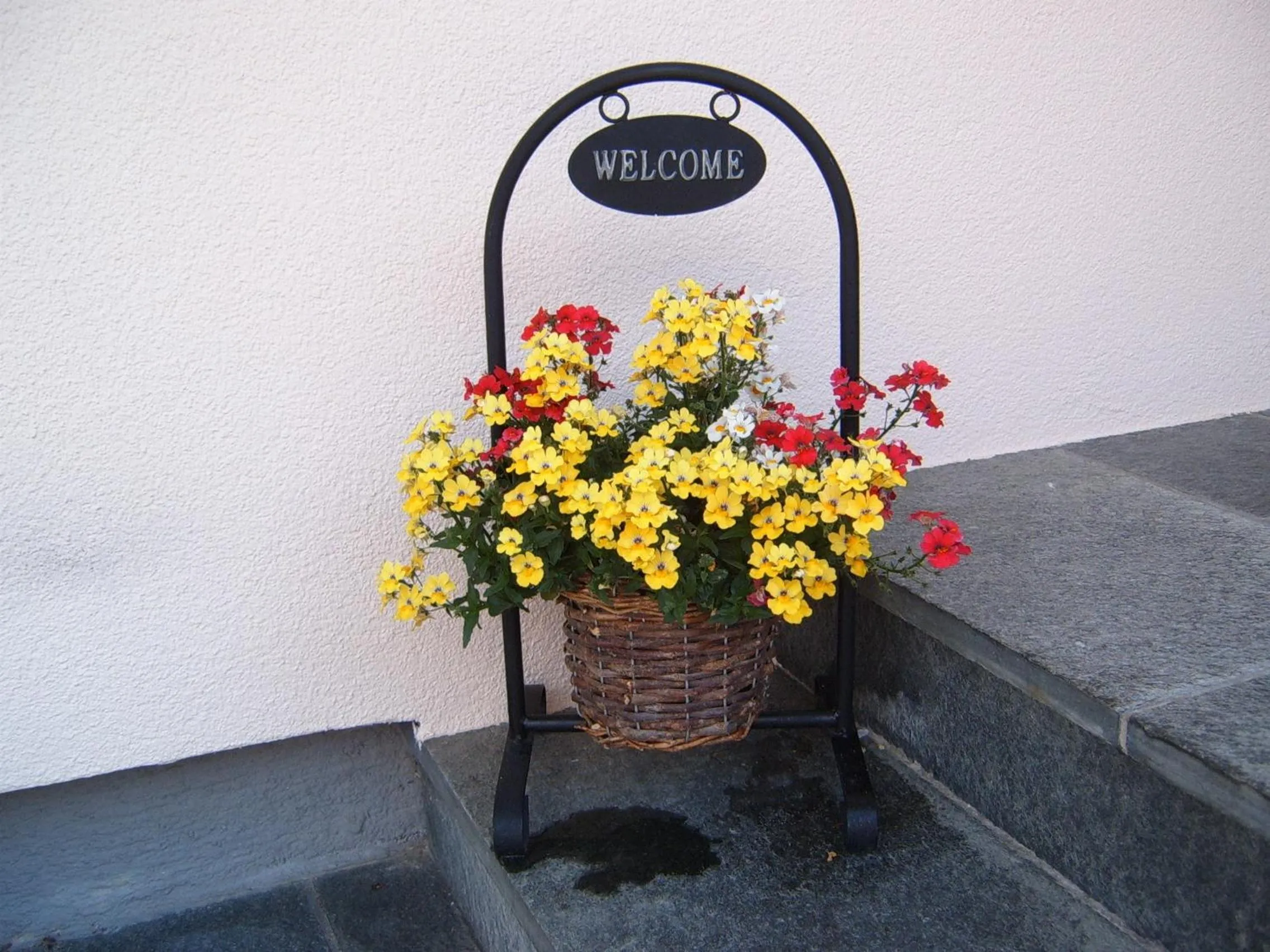 On site in Pension Felsenheim