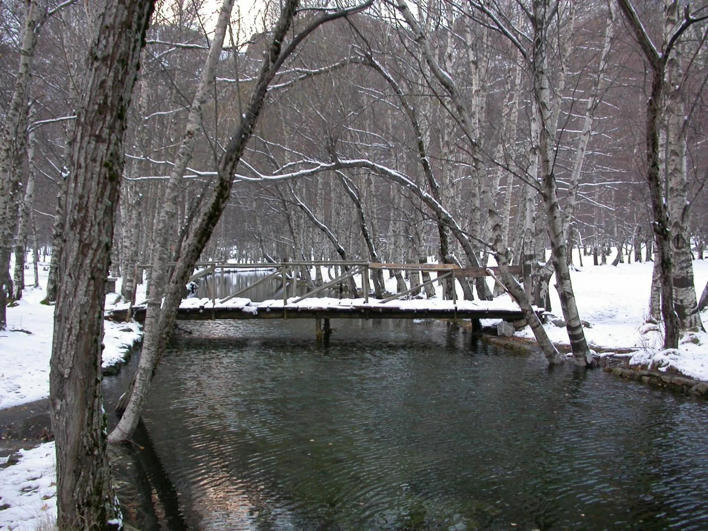 Off site in Hotel Senhora do Espinheiro