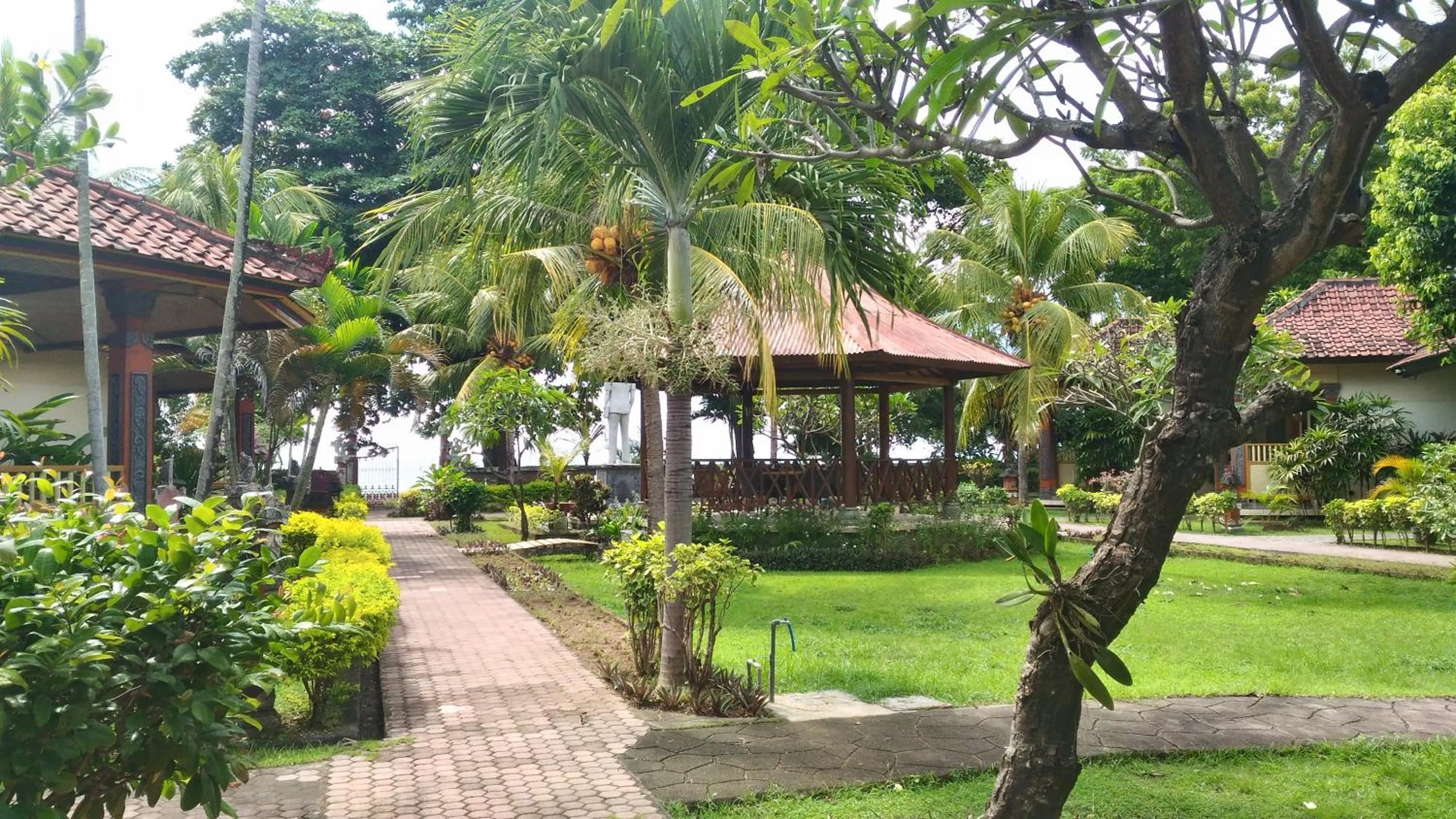 Garden in Lovina Beach Hotel
