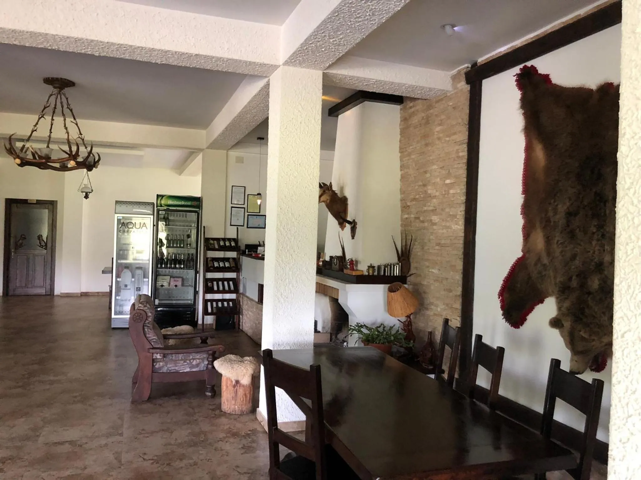 Lounge or bar in Valea Salbatica