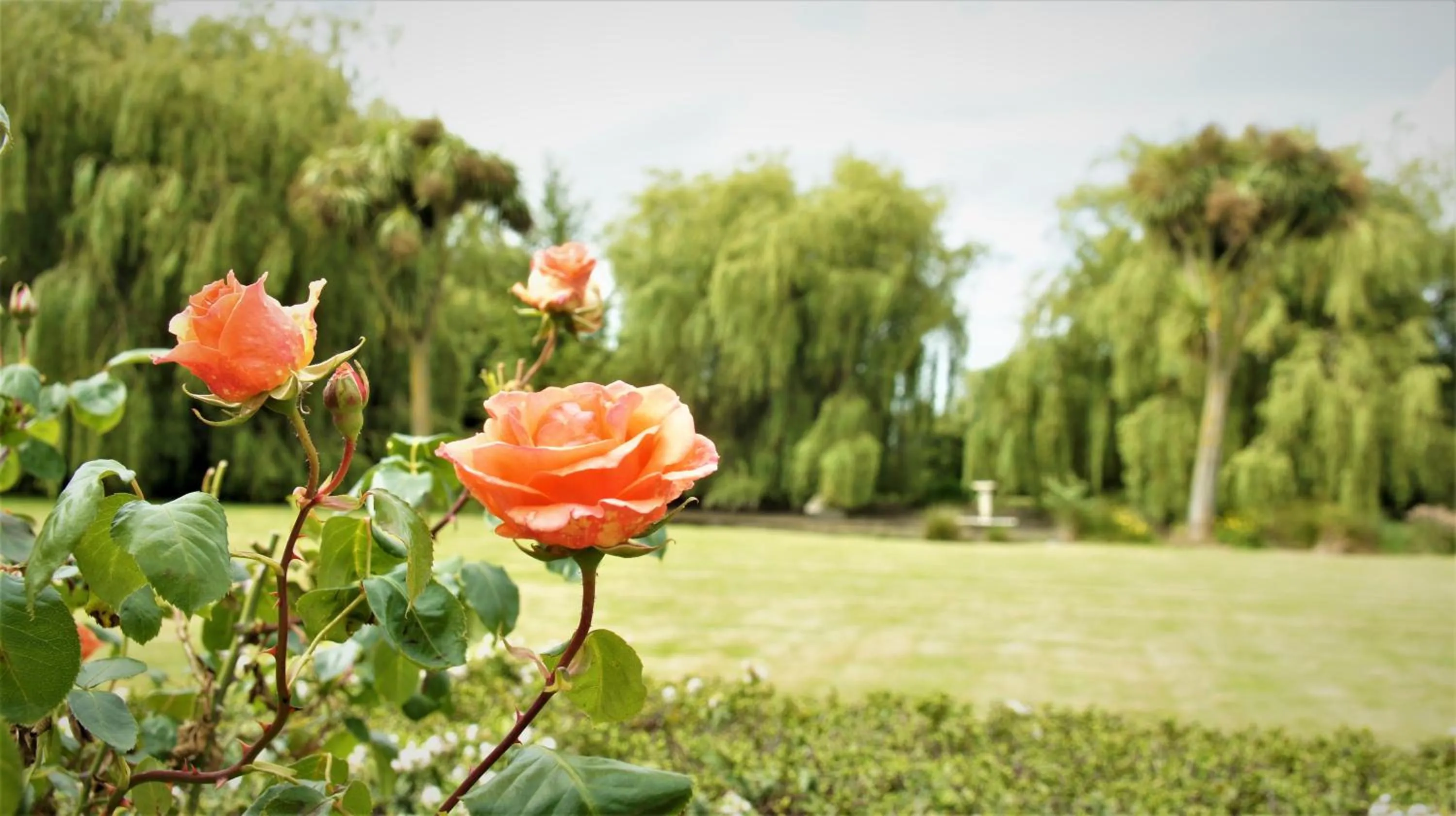 Tuscany Downs Estate