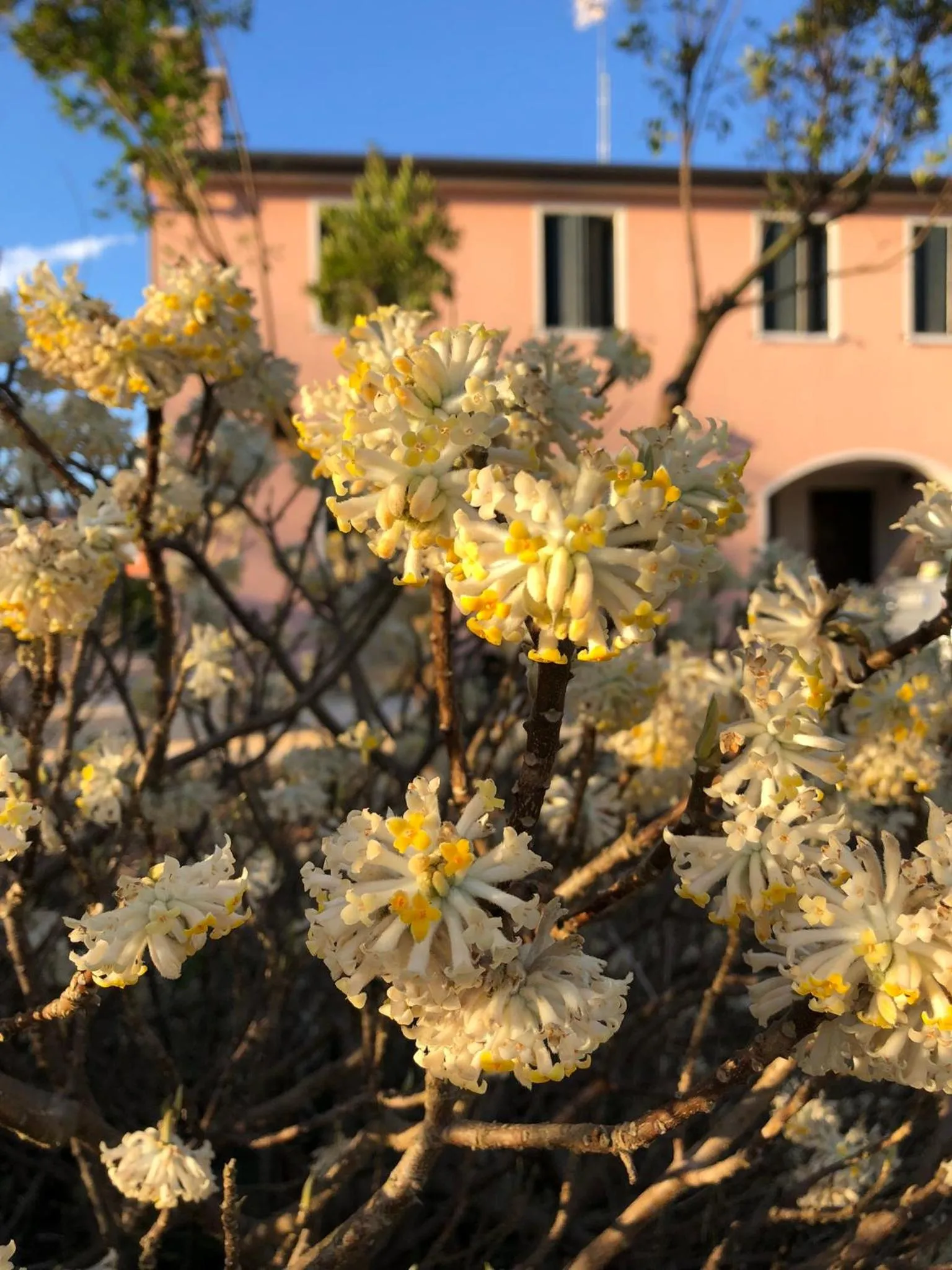Garden in B&B MELLONI STREET