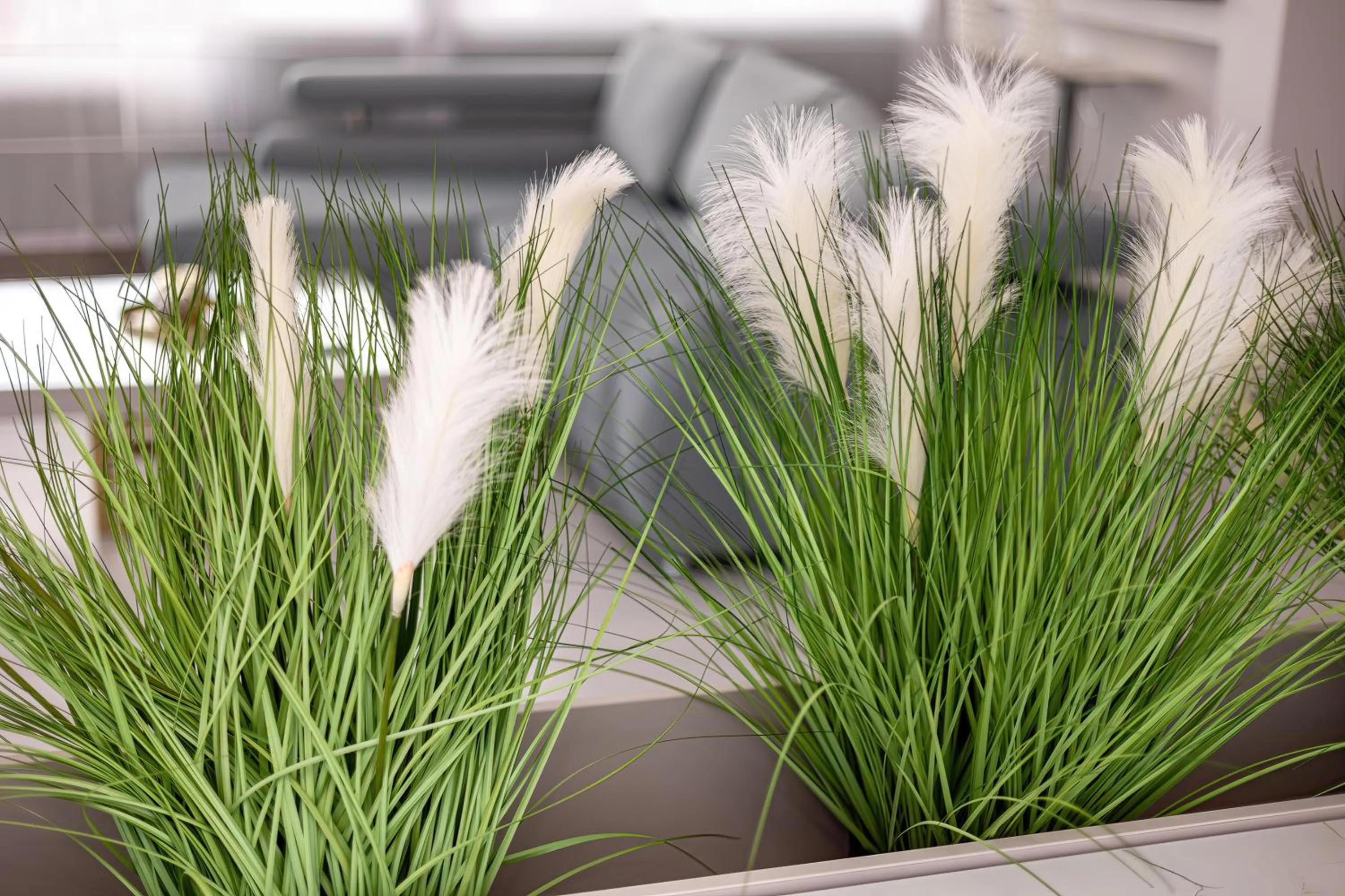 Living room in ForS Resort & Spa