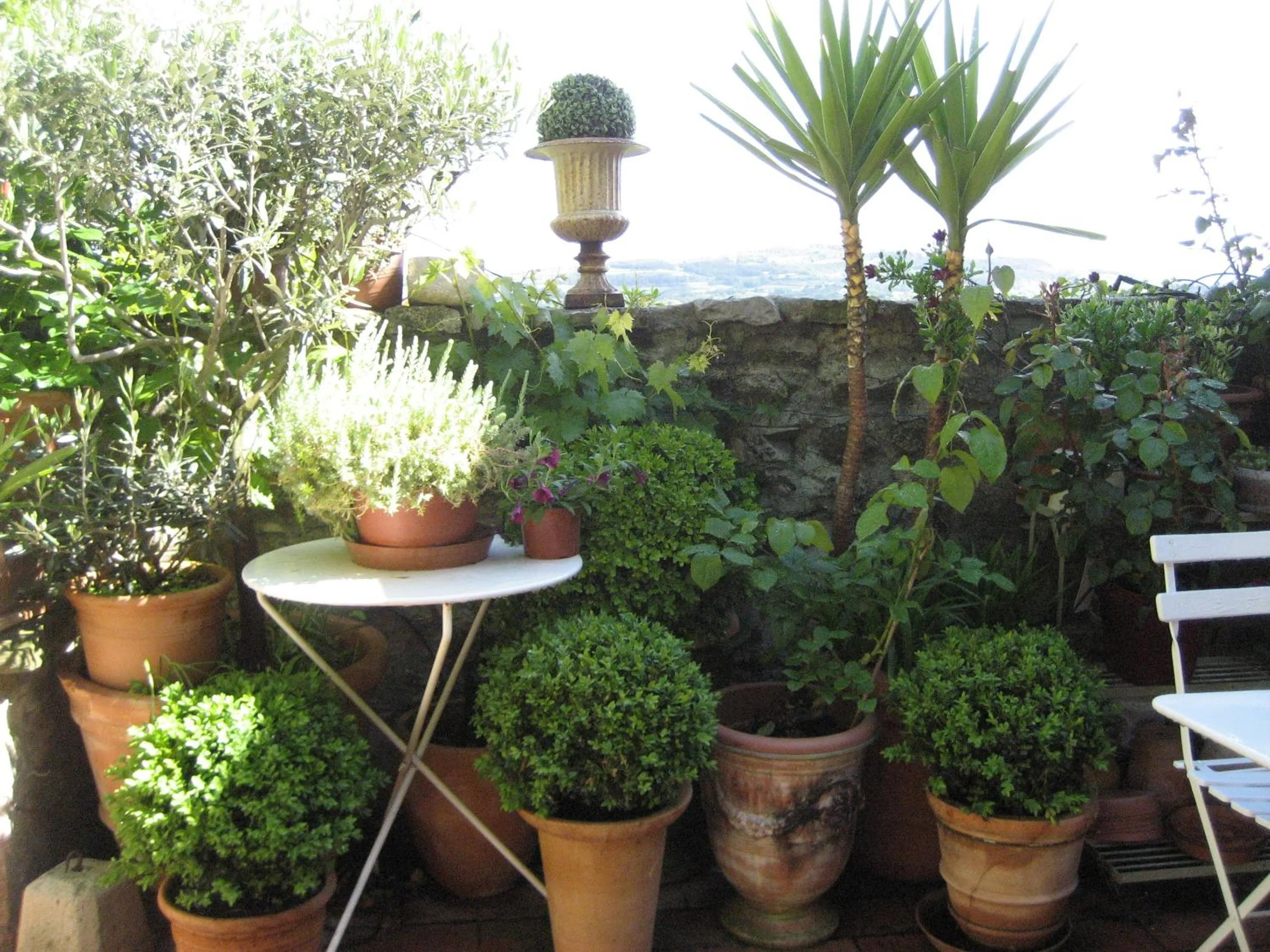 Garden view in Maison d'Hôtes de l'Evêché