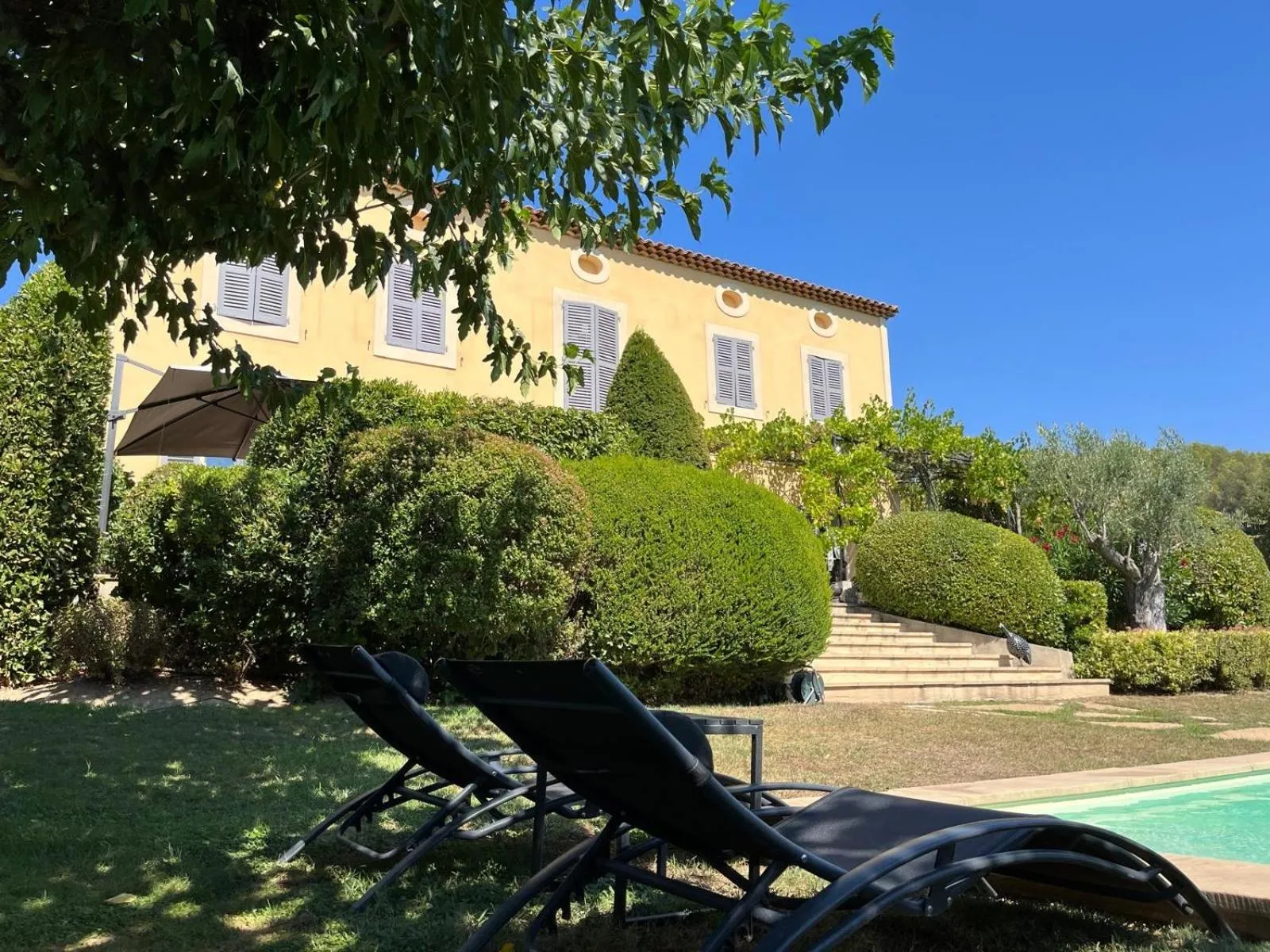 Garden in La Bastide Tara