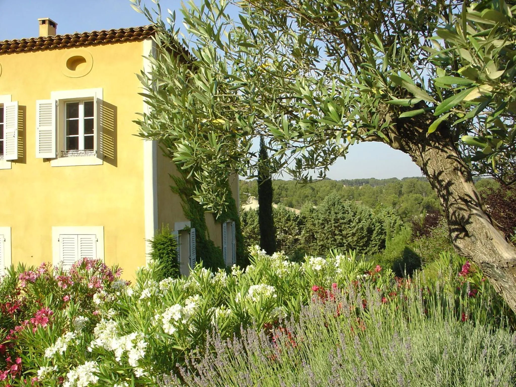 Garden in La Bastide Tara