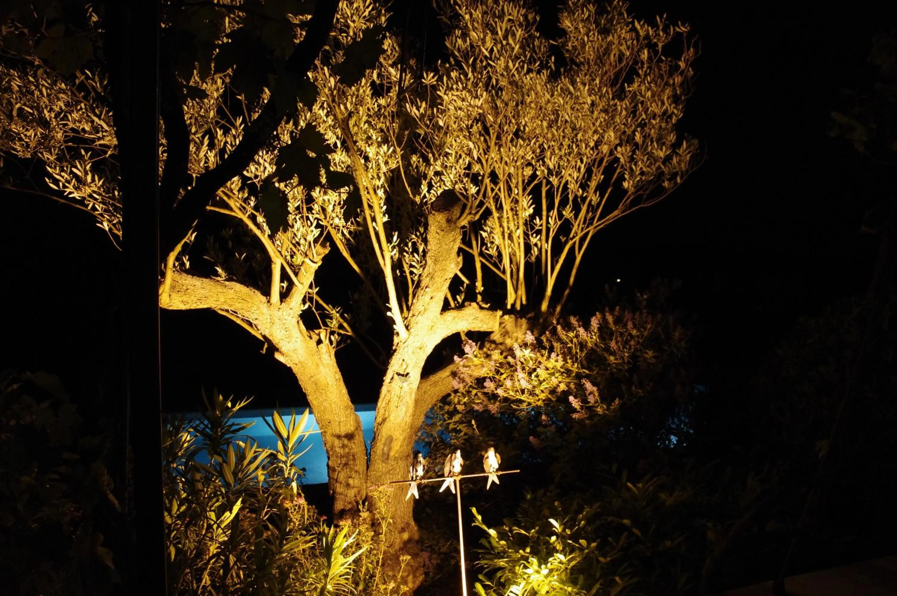 Garden in La Bastide Tara
