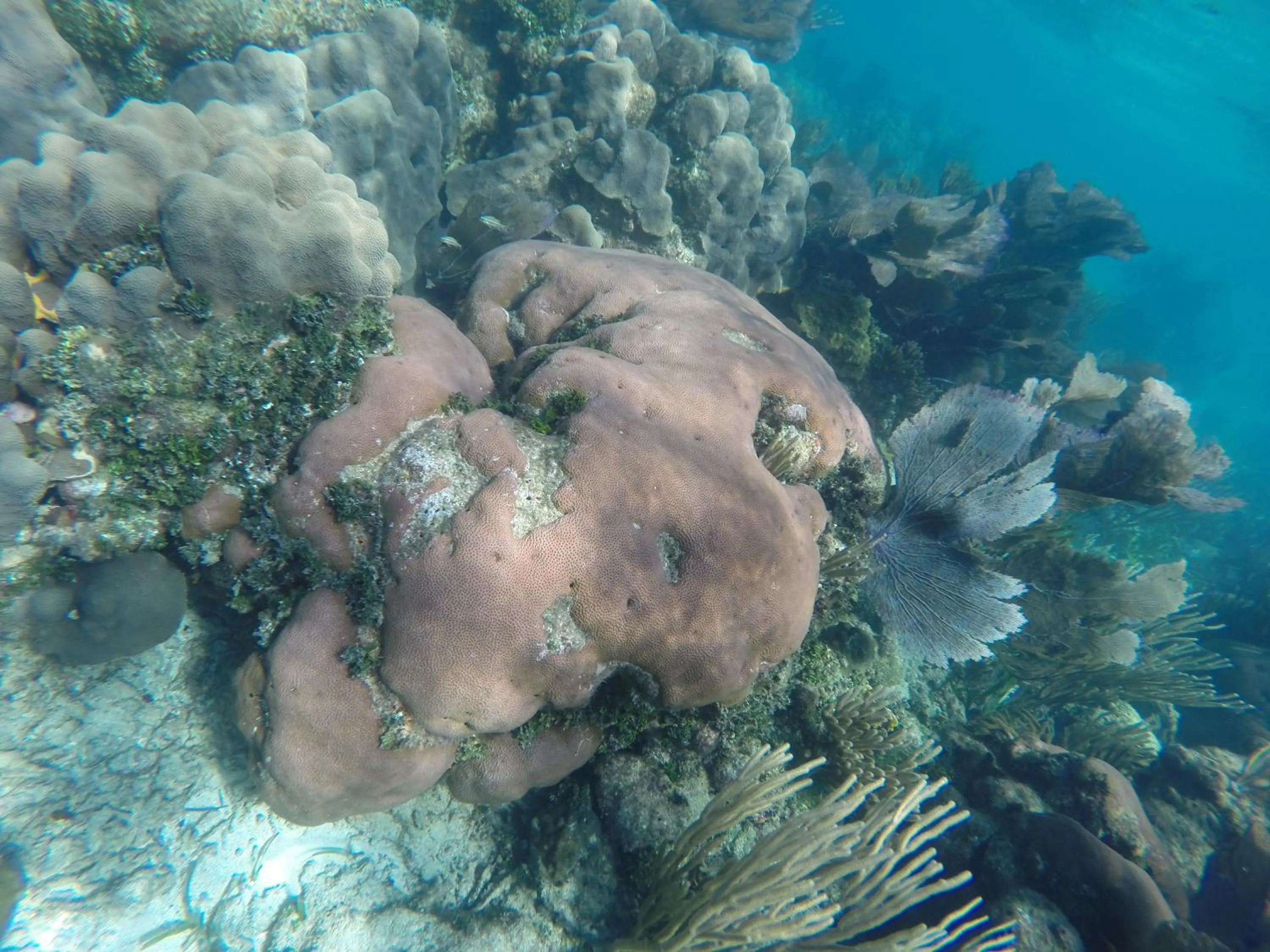 Diving in Laru Beya Resort