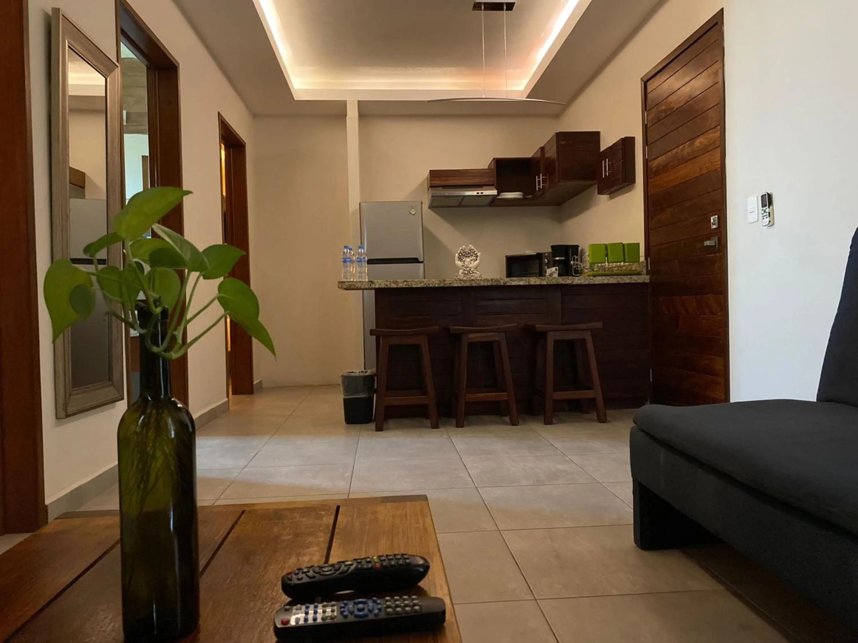 Kitchen or kitchenette in Aquastar Unique Hotel & Apartments Mahahual