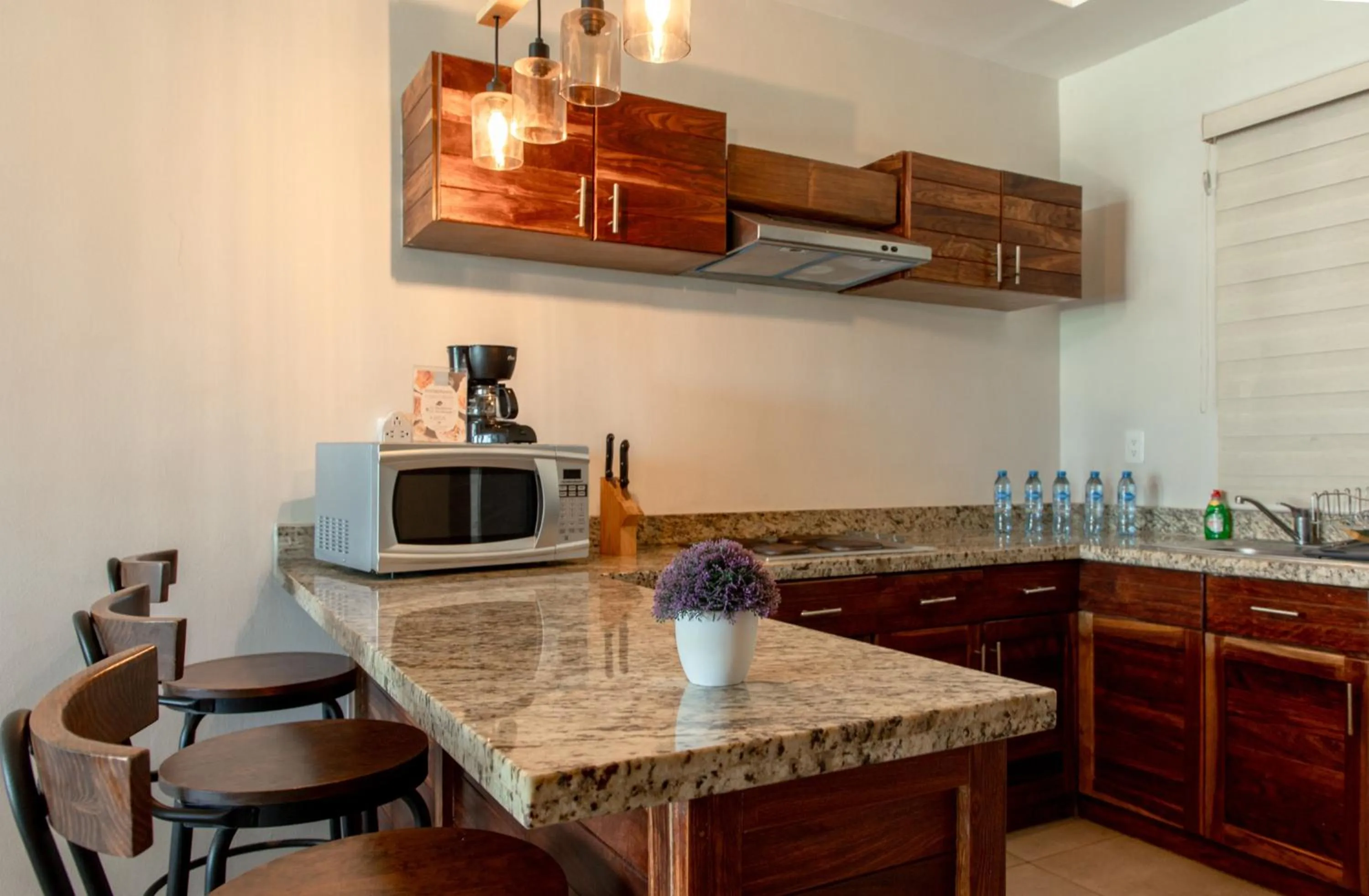 kitchen in Aquastar Unique Hotel & Apartments Mahahual