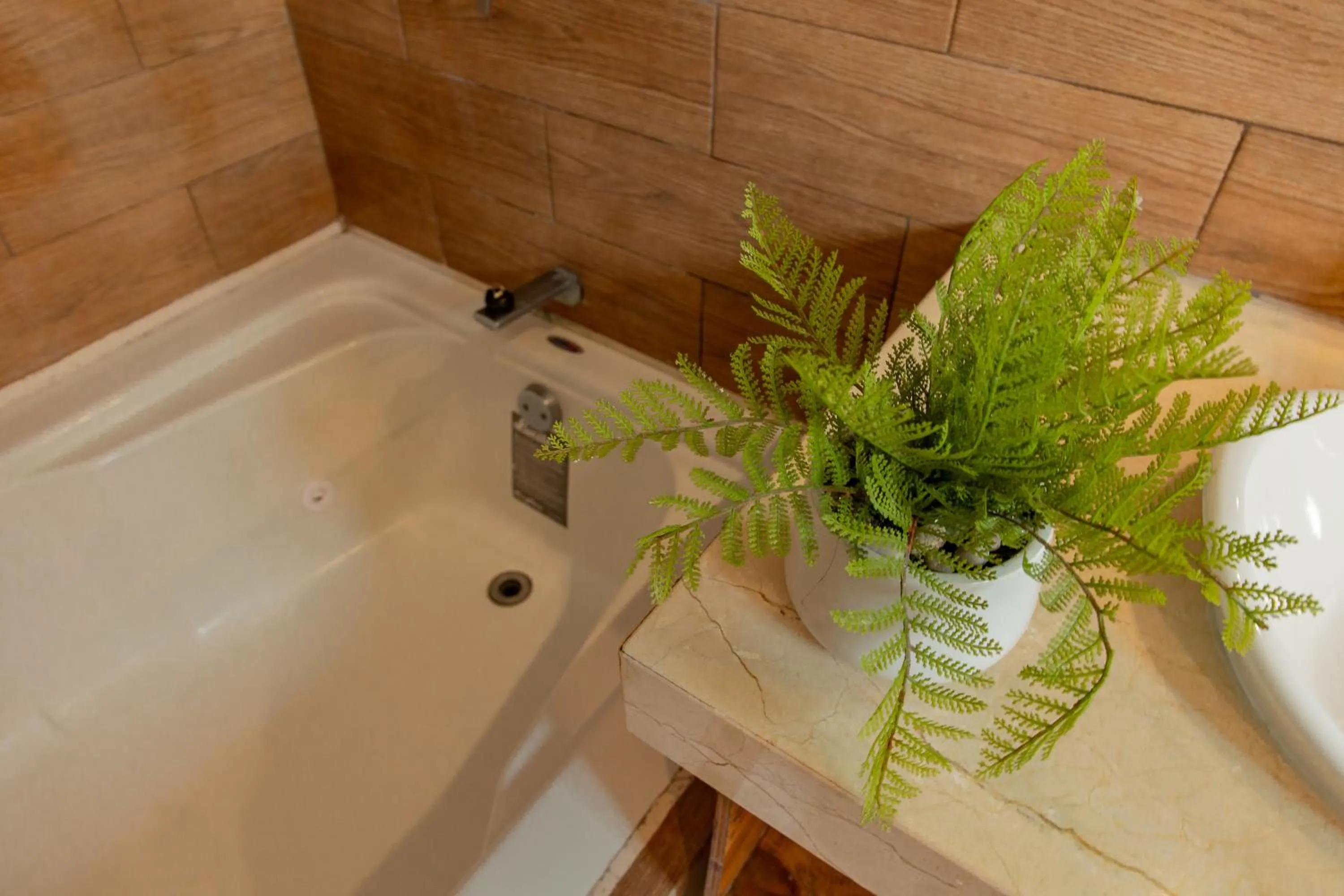 Bath in Aquastar Unique Hotel & Apartments Mahahual