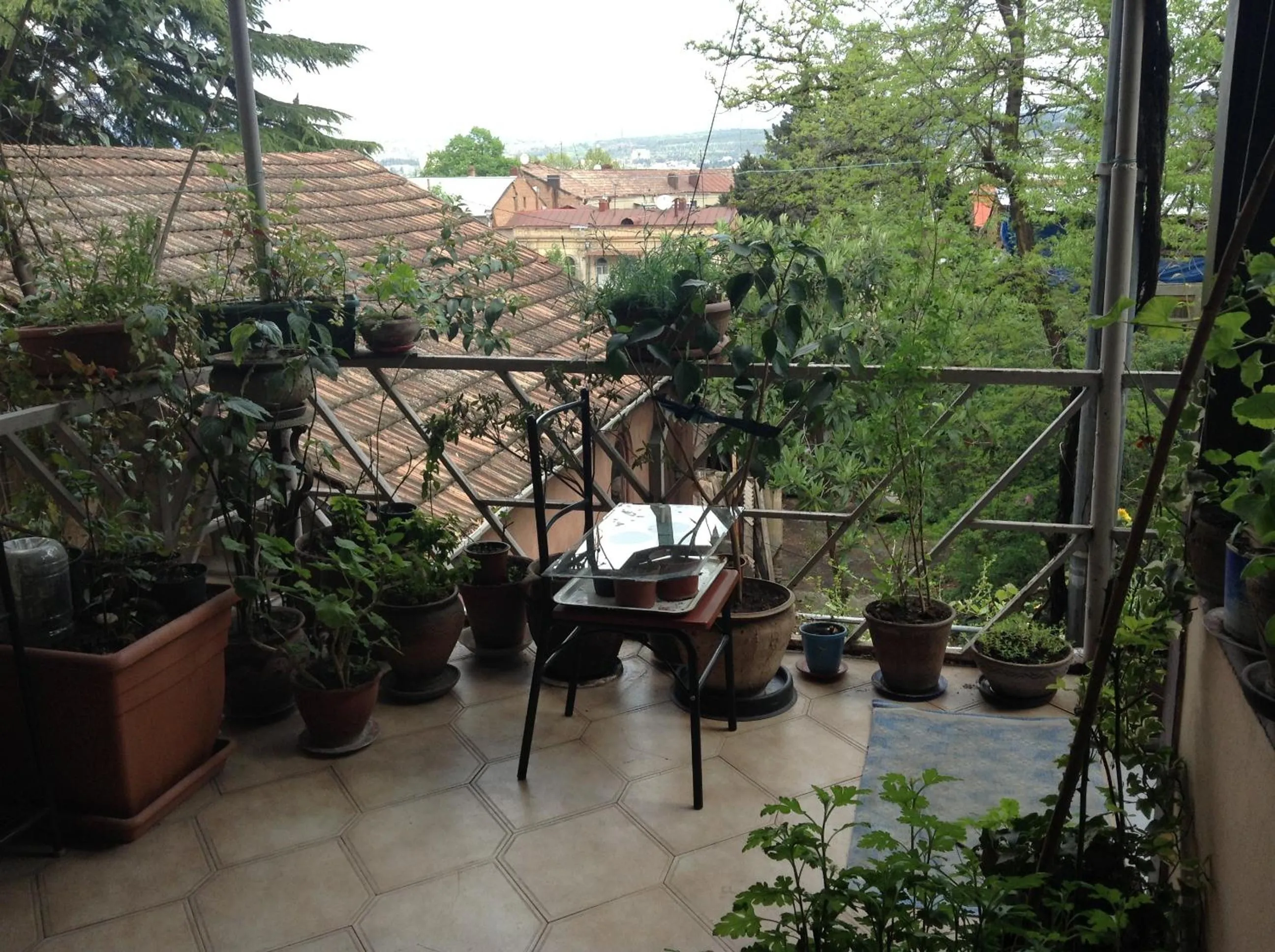 Polonia Tbilisi House