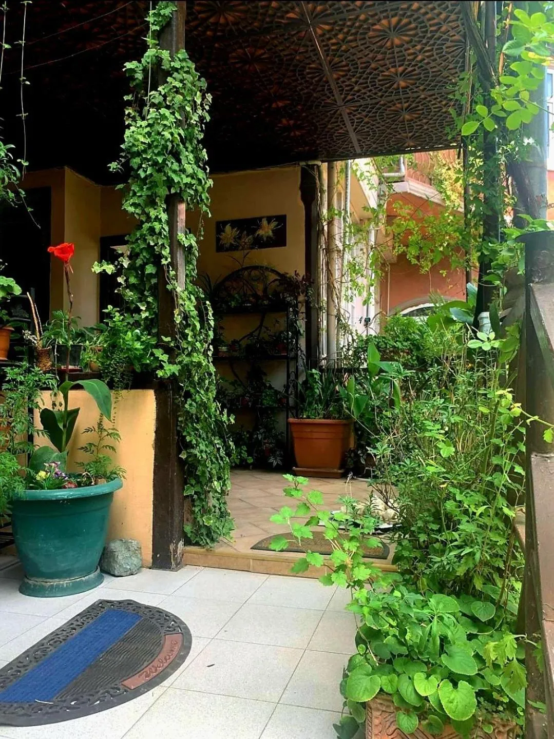 Polonia Tbilisi House