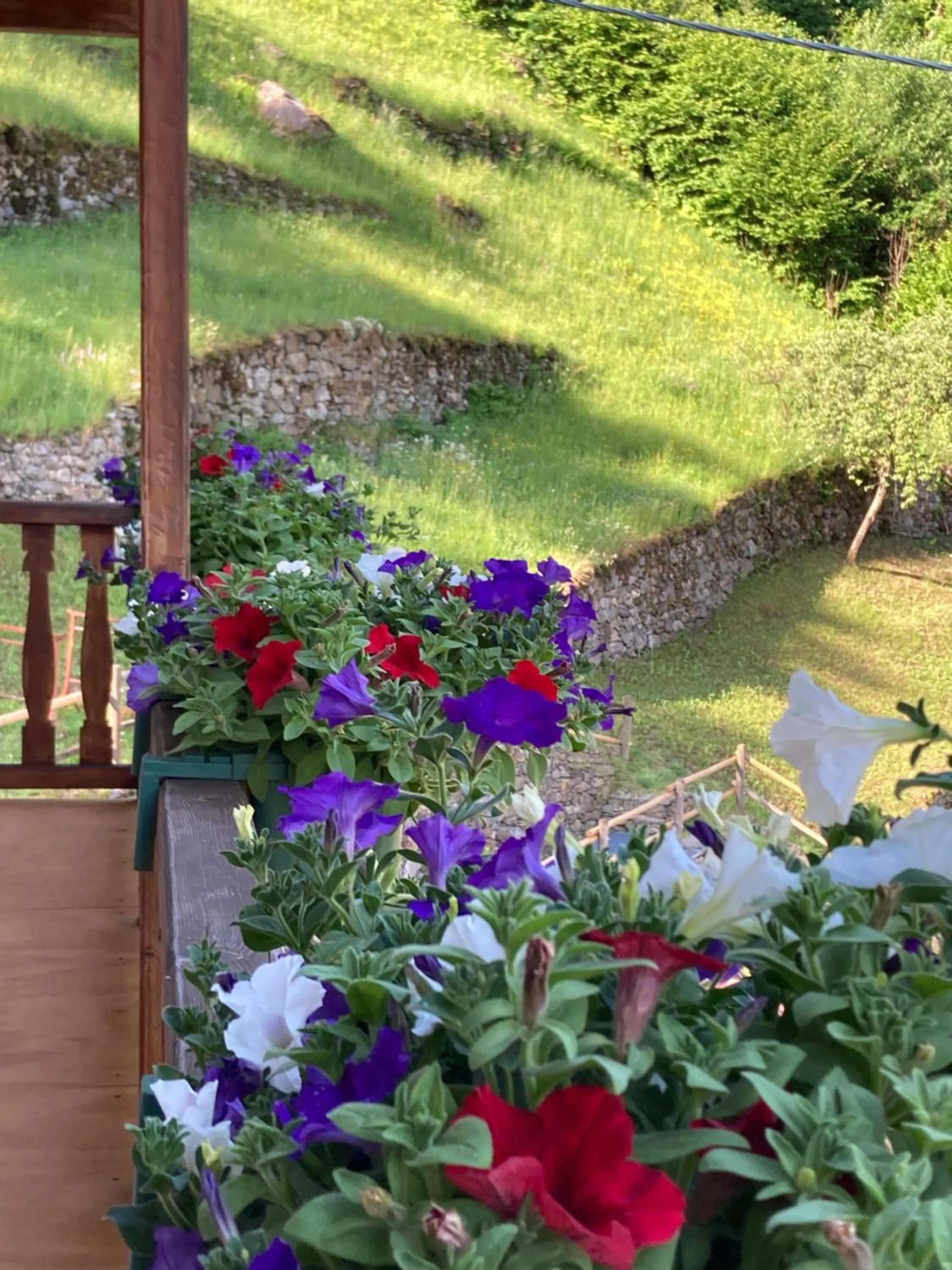 Spring in B&B Maison Vallomy