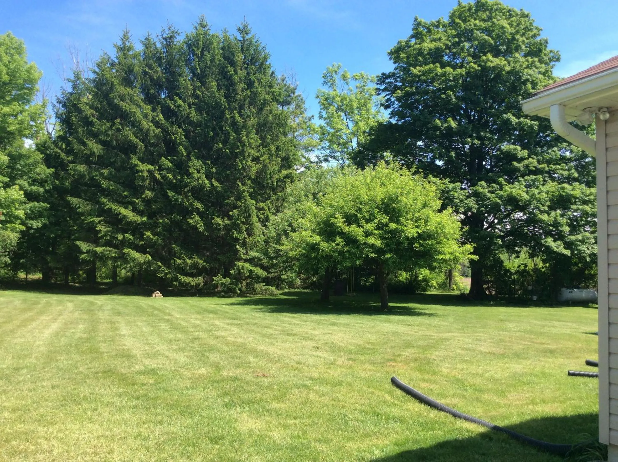 Garden in Dunlop Motel