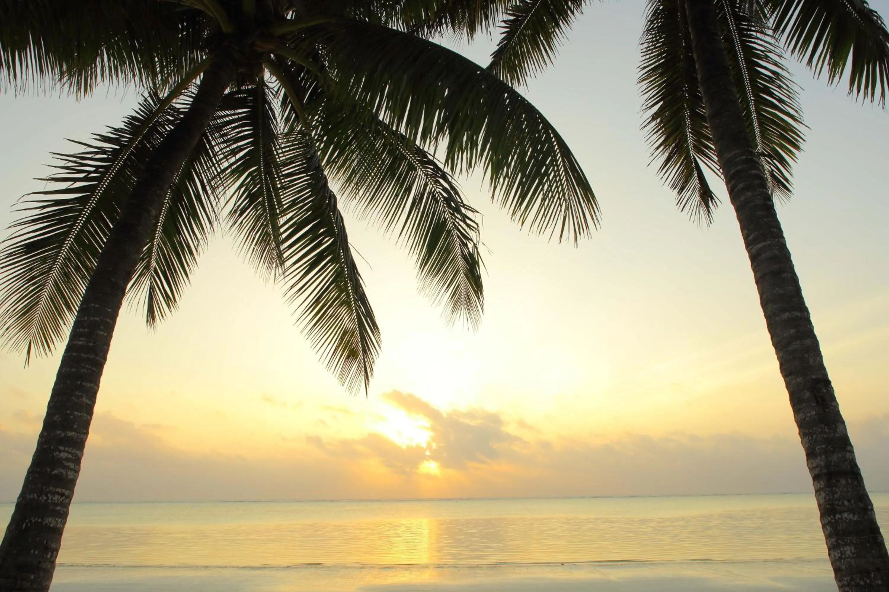 Beach in Bluebay Beach Resort & Spa