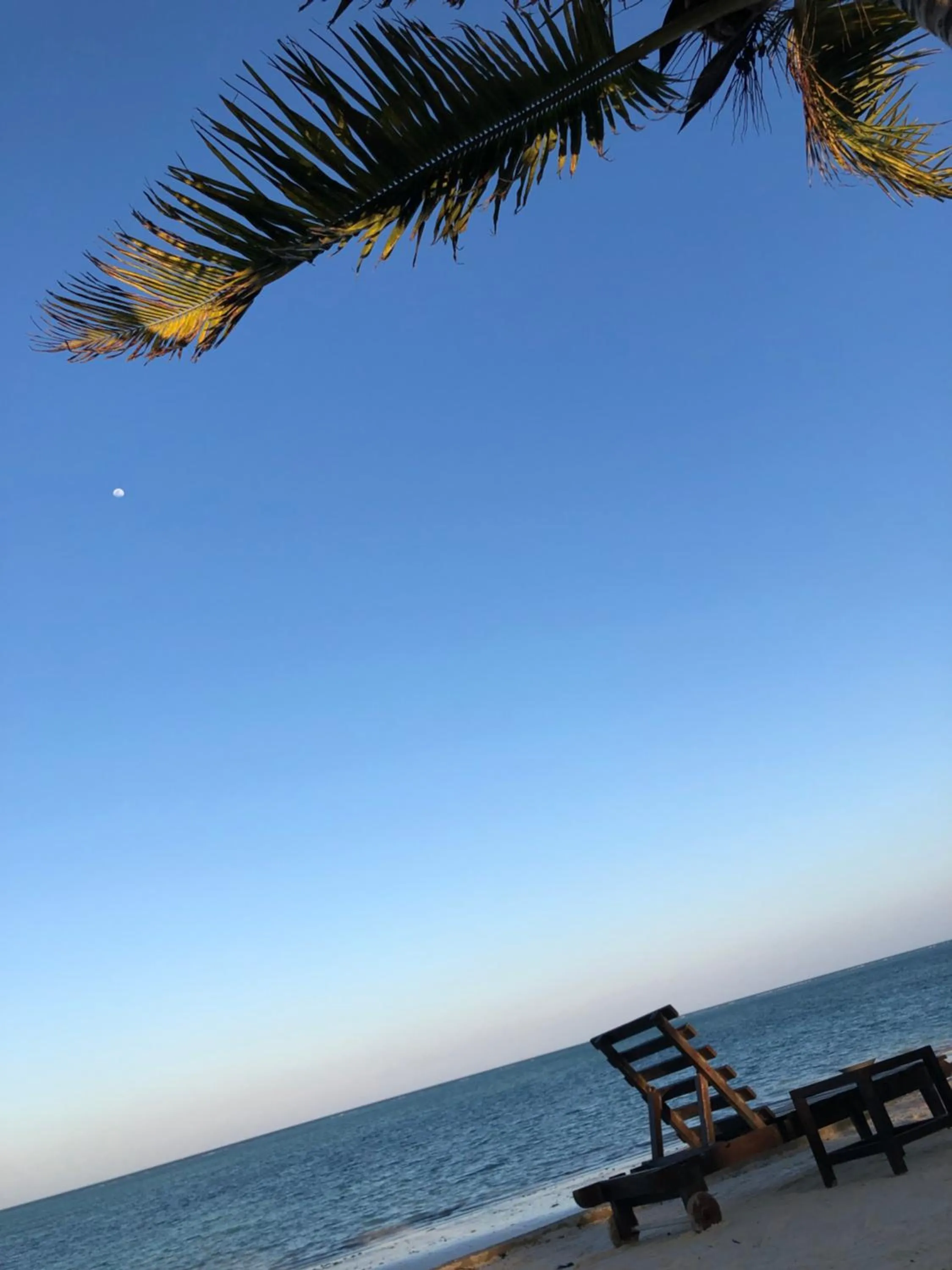 Beach in Bluebay Beach Resort & Spa