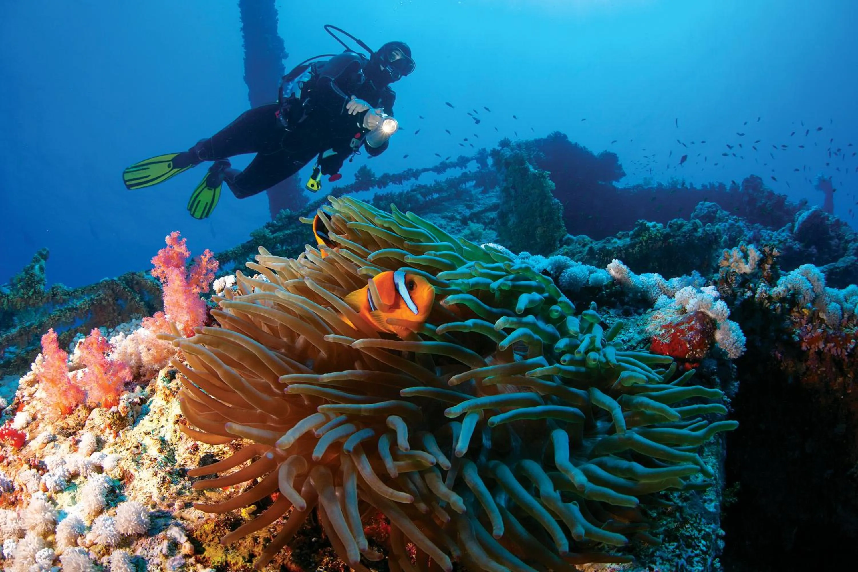 Diving in Bluebay Beach Resort & Spa