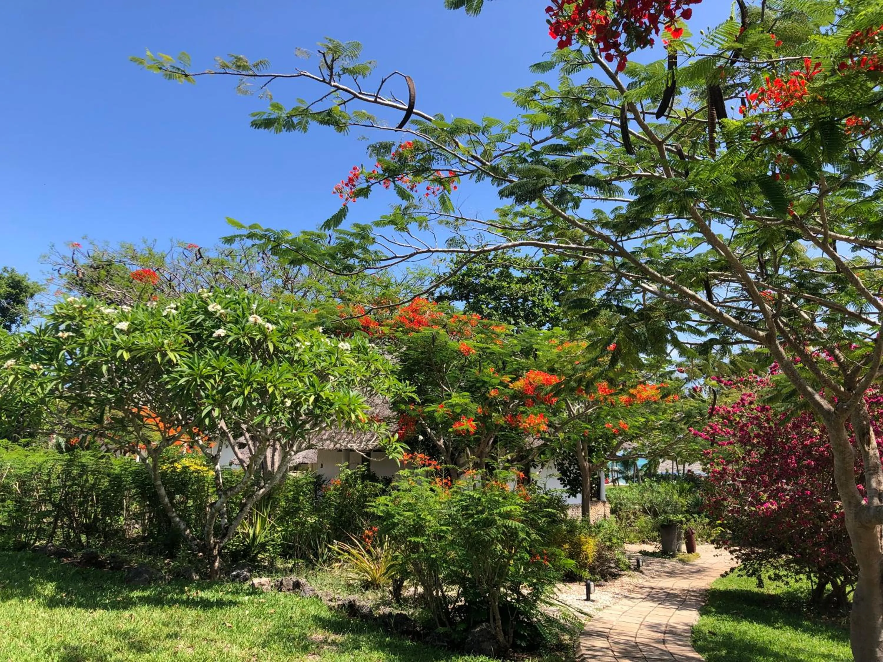 Garden in Bluebay Beach Resort & Spa