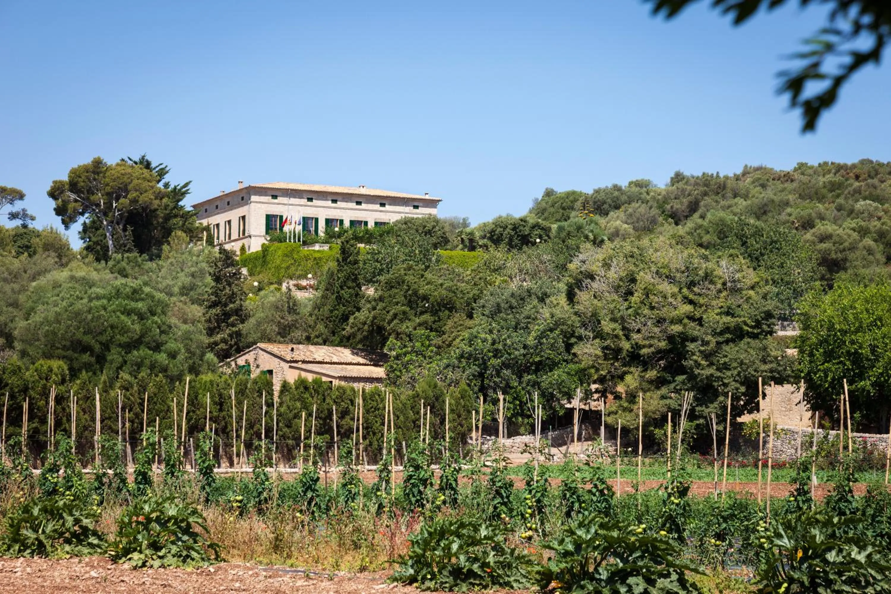 Facade/entrance in Hotel Llenaire