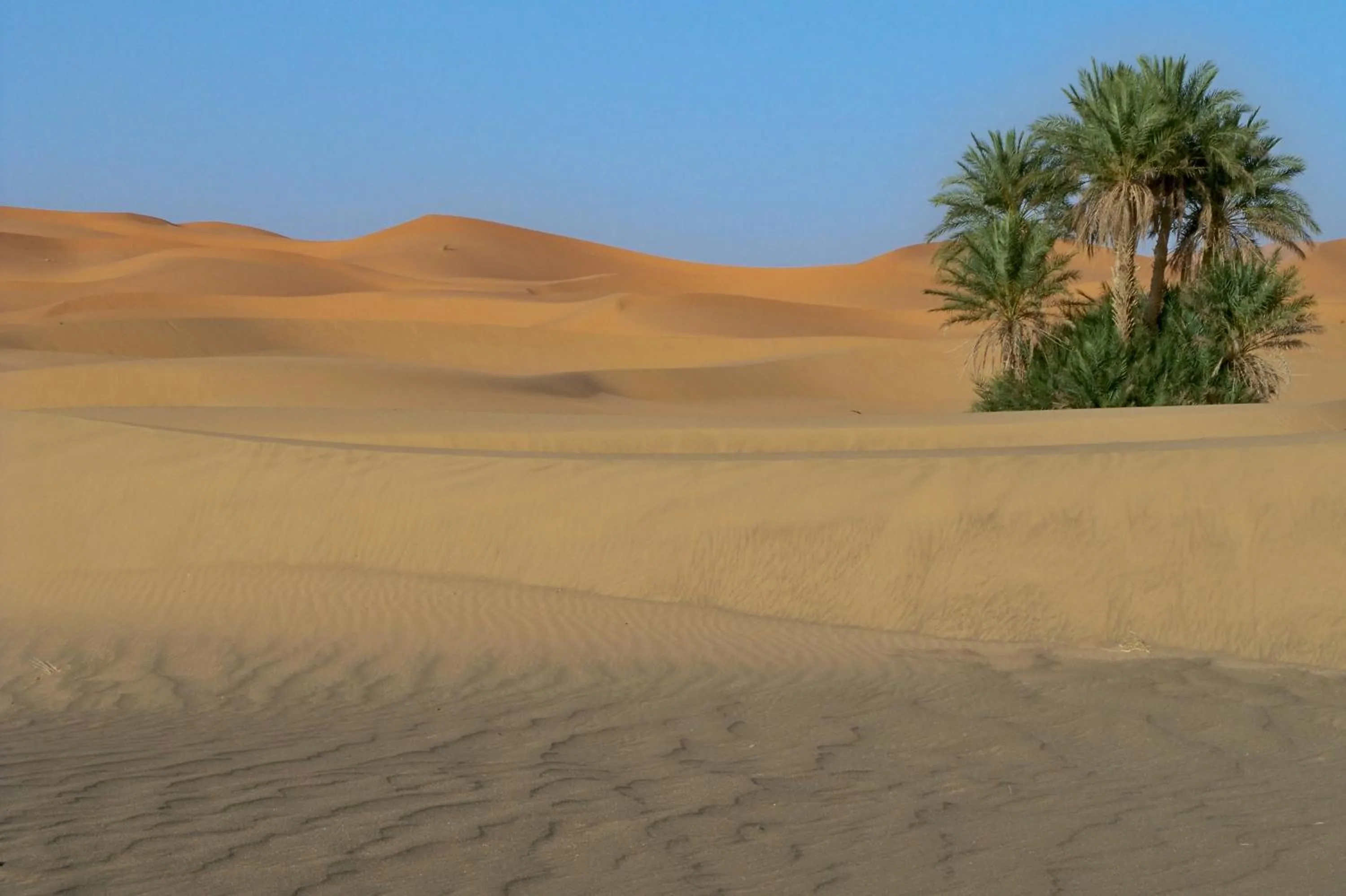 On site in Kasbah Tamariste