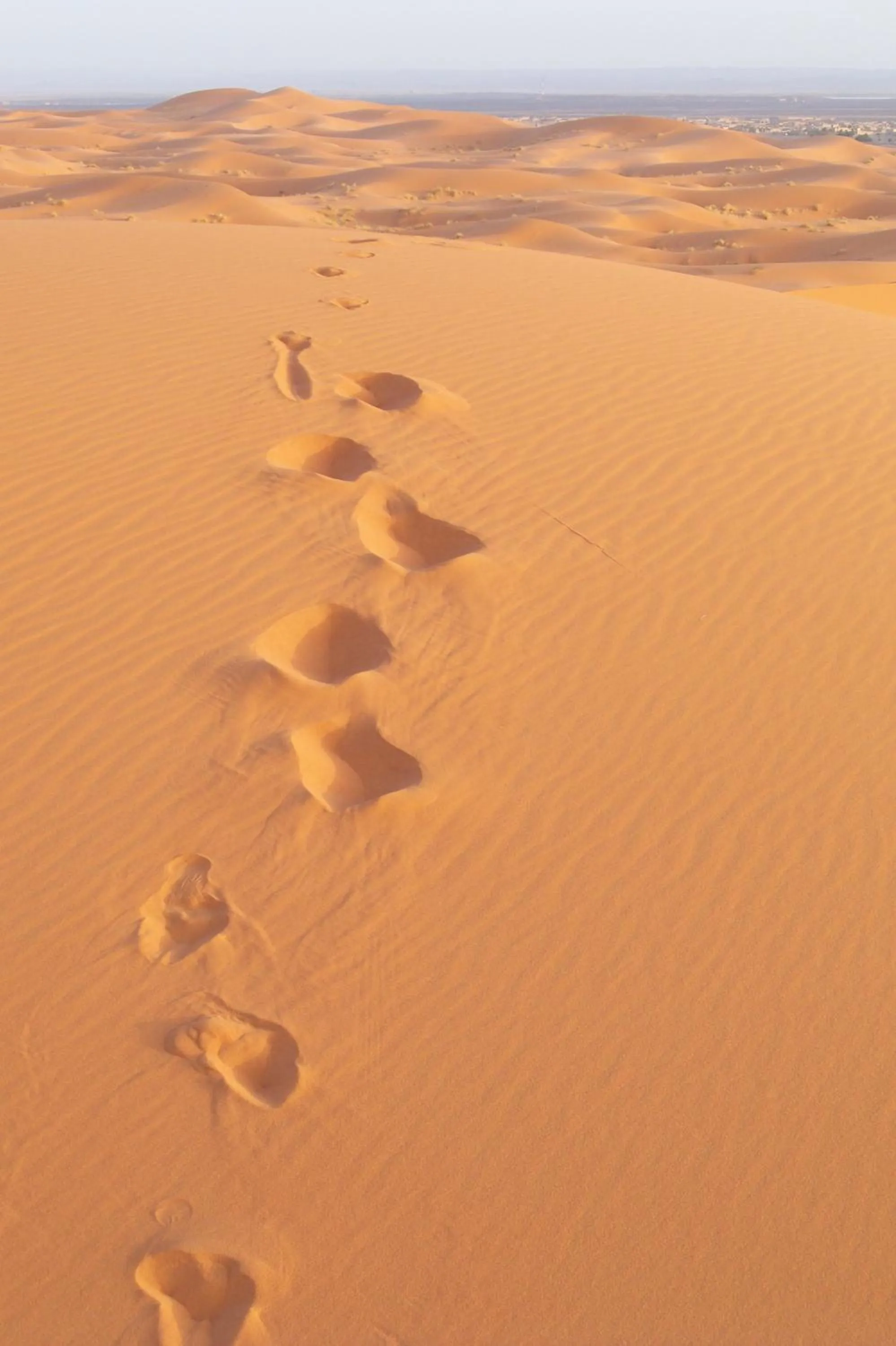 Activities in Kasbah Tamariste