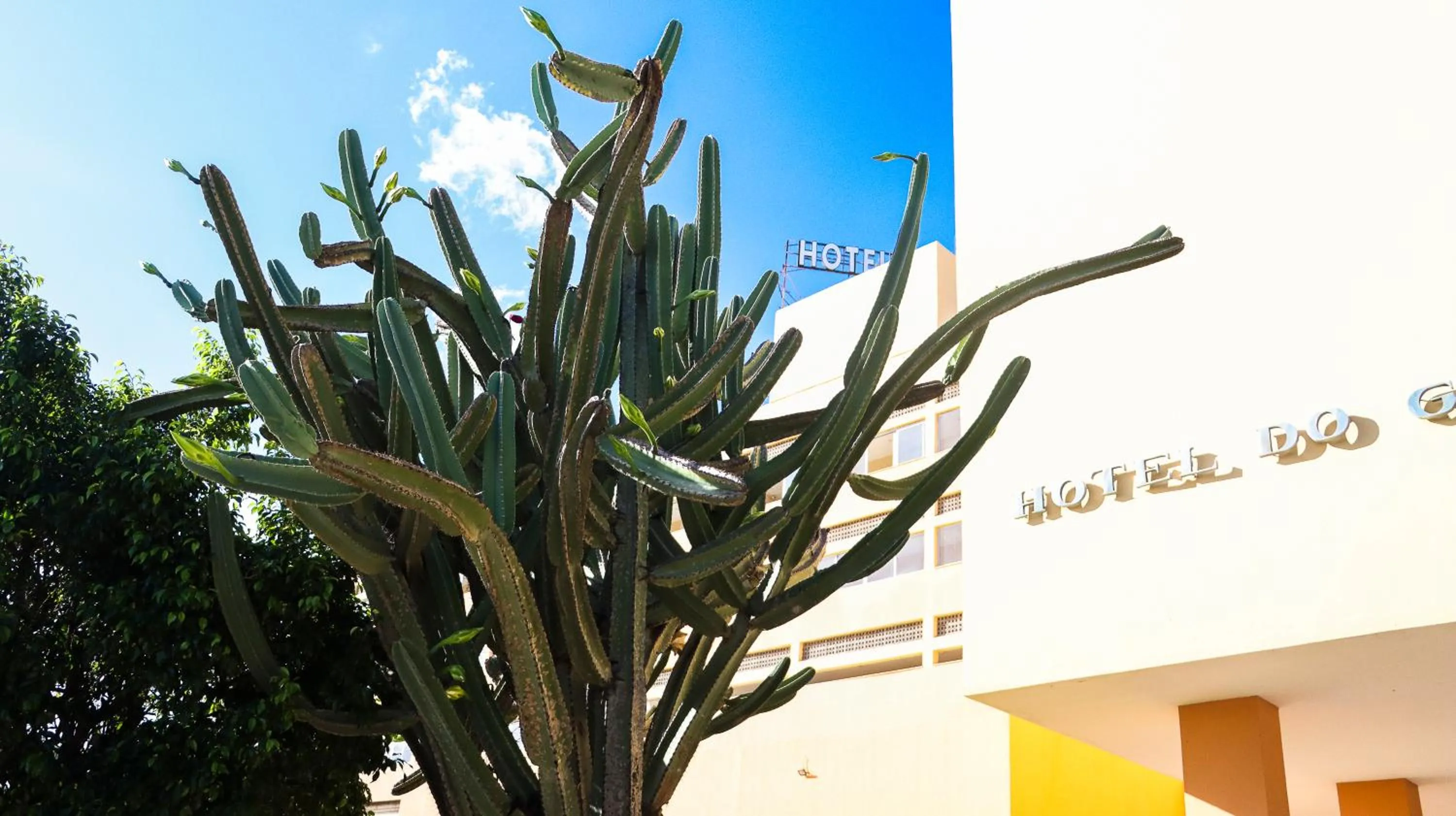 Garden in Hotel do Grande Rio