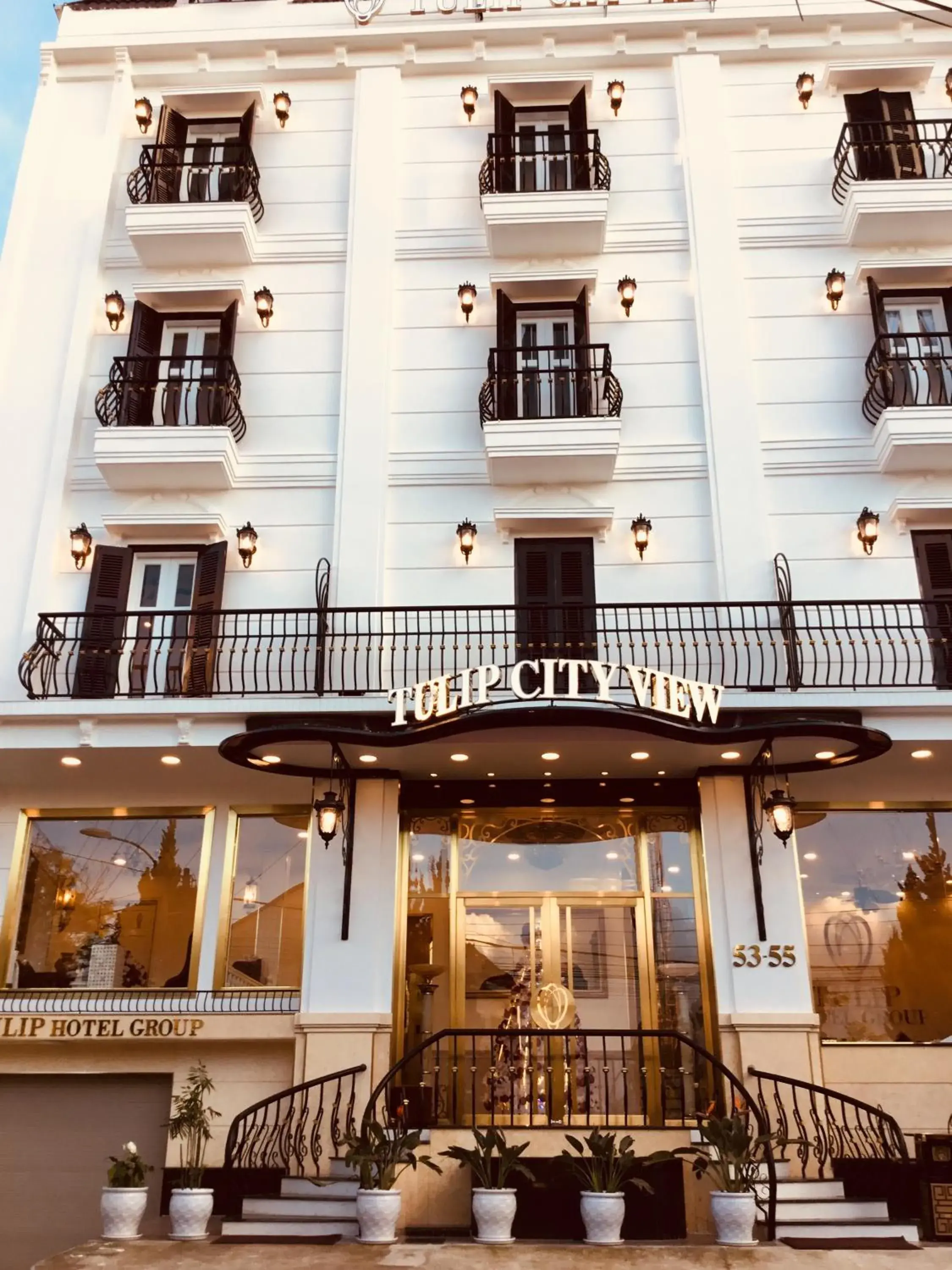 Tulip City View Tulip City View