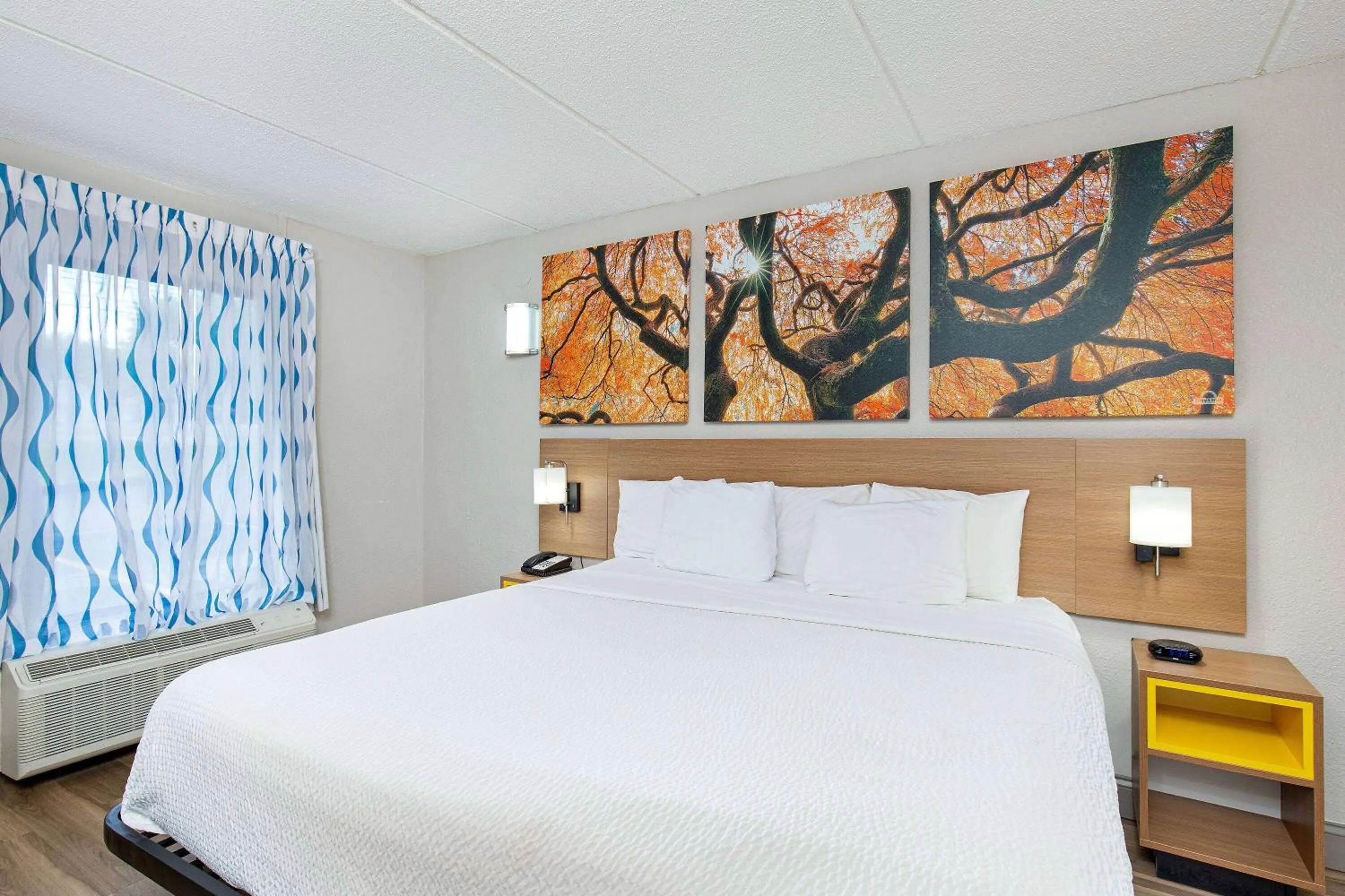 Photo of the whole room, Bed in Days Inn by Wyndham Knoxville North