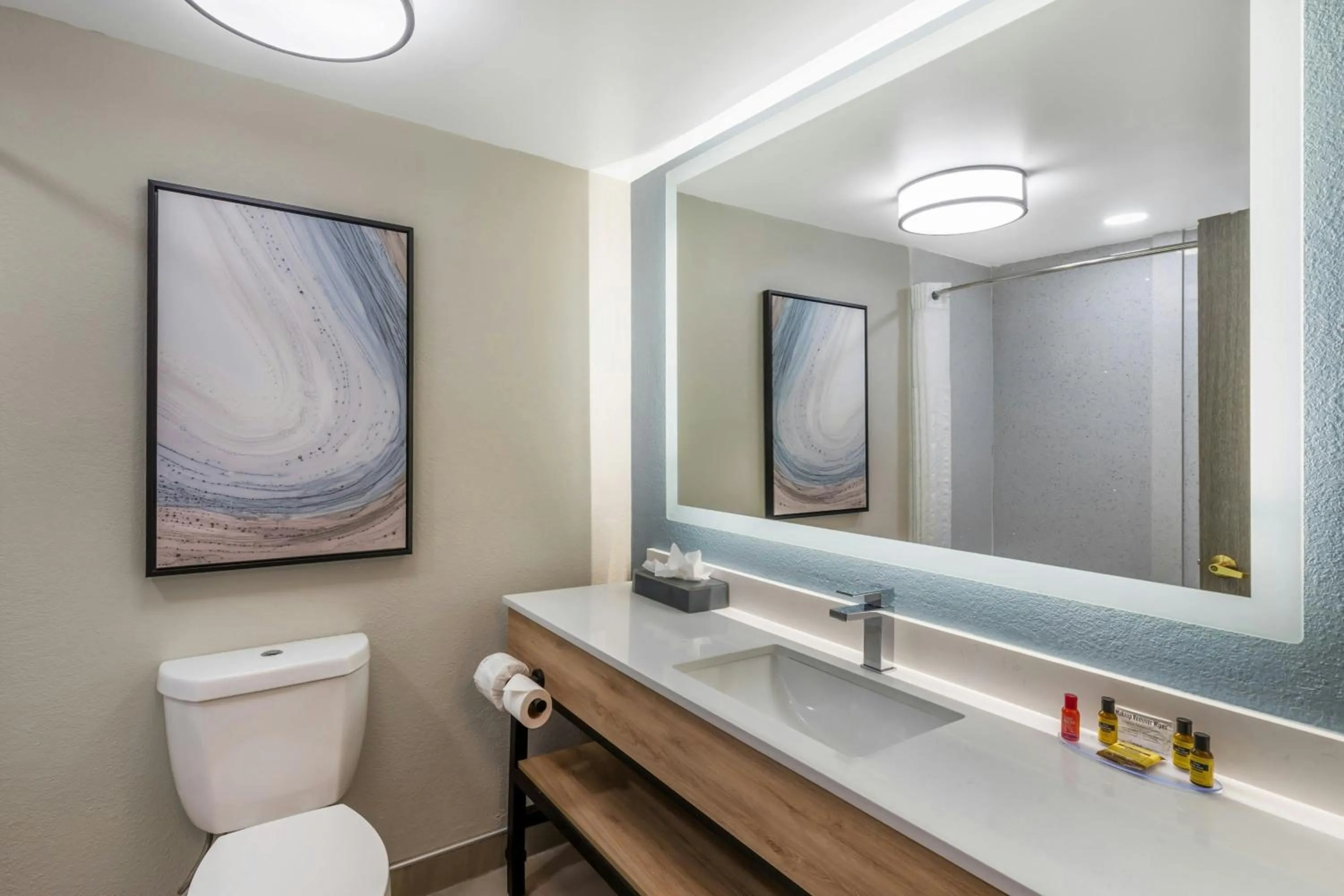 Bathroom in Sugarloaf Hotel & Suites Duluth