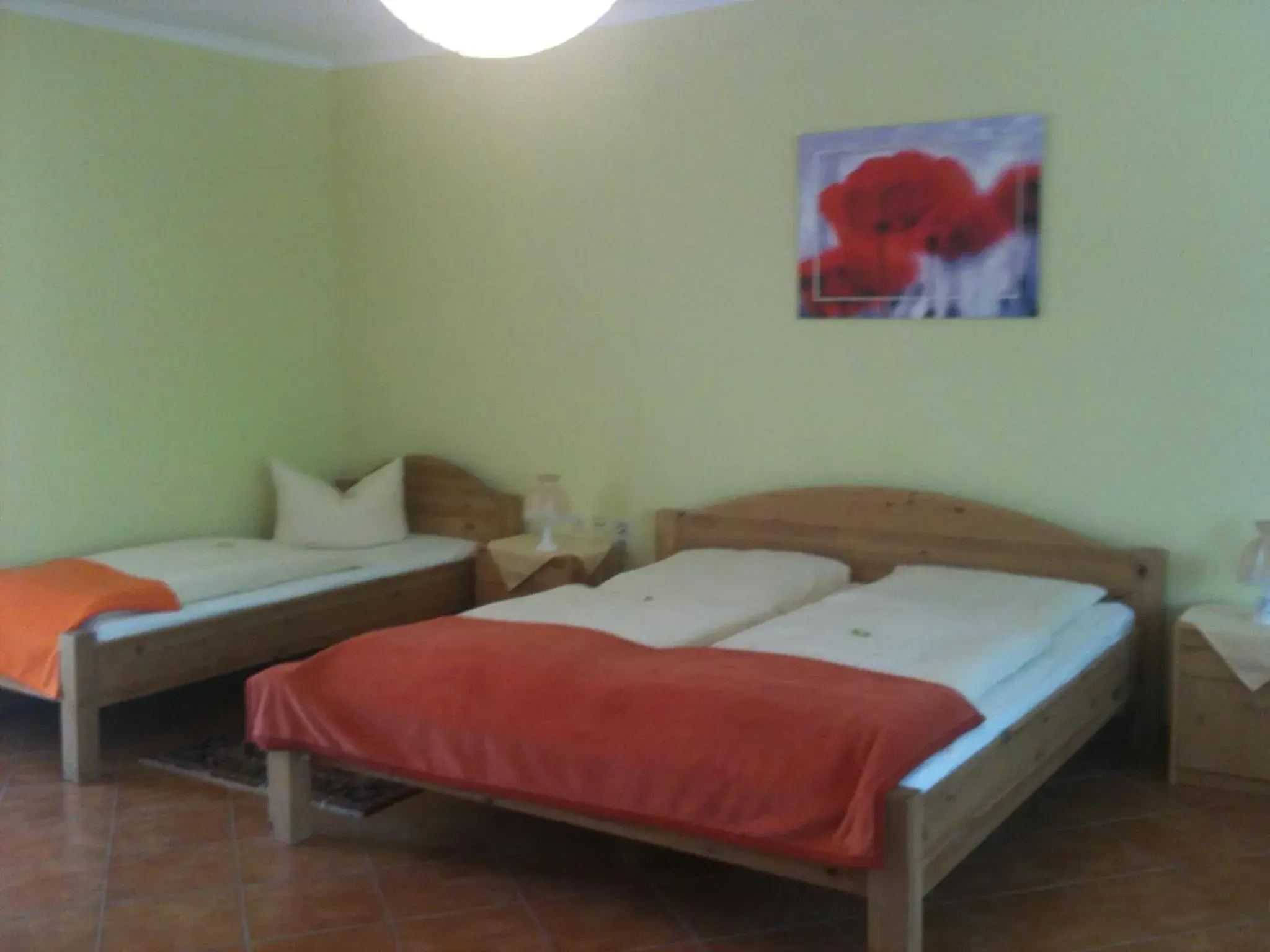 Double Room - single occupancy in Hotel-Pension Am Mühlberg Double Room - single occupancy in Hotel-Pension Am Mühlberg