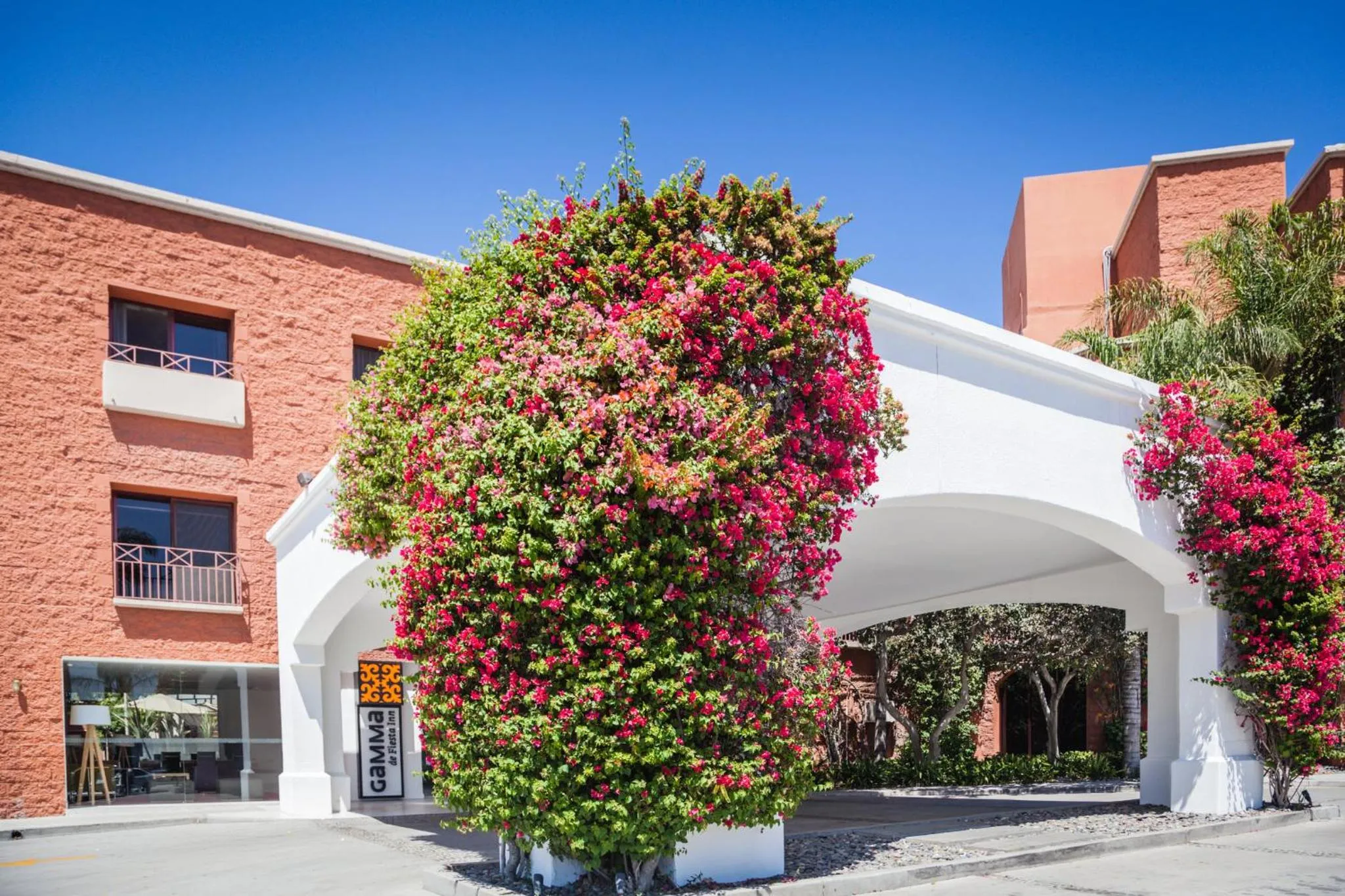 Property building in Gamma Tijuana