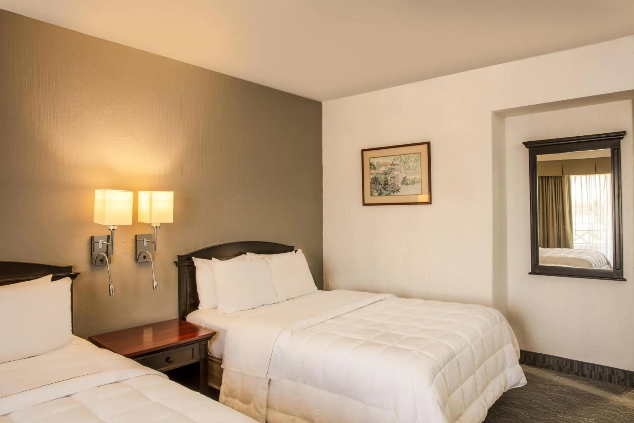 Photo of the whole room in Gamma Tijuana