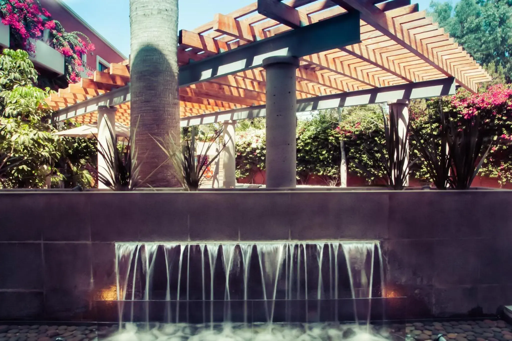 Property building in Gamma Tijuana Property building in Gamma Tijuana