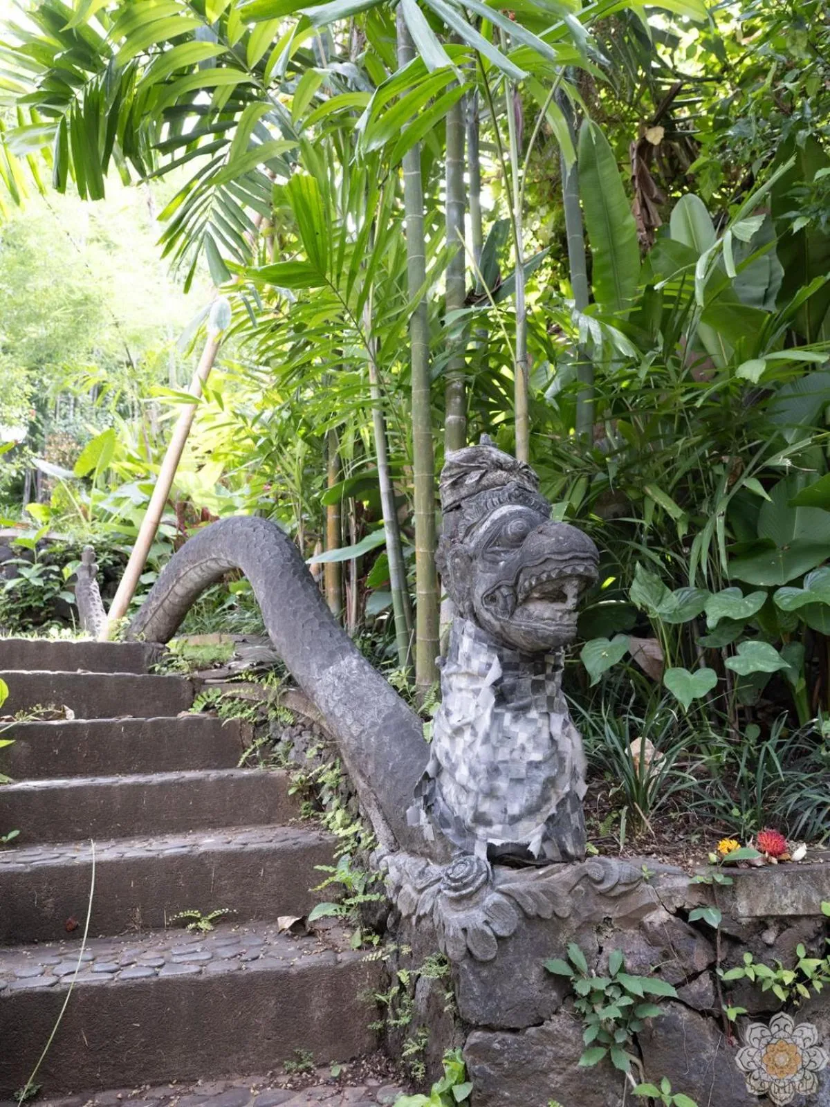Garden in Sananda Aryani