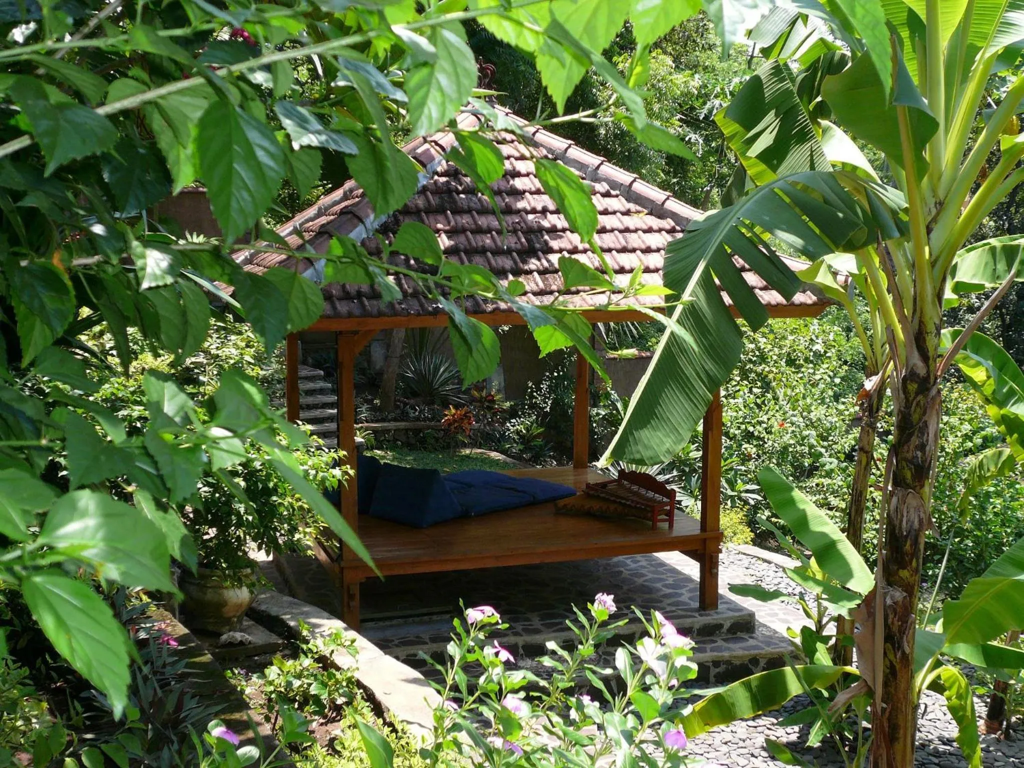 Garden in Sananda Bungalow