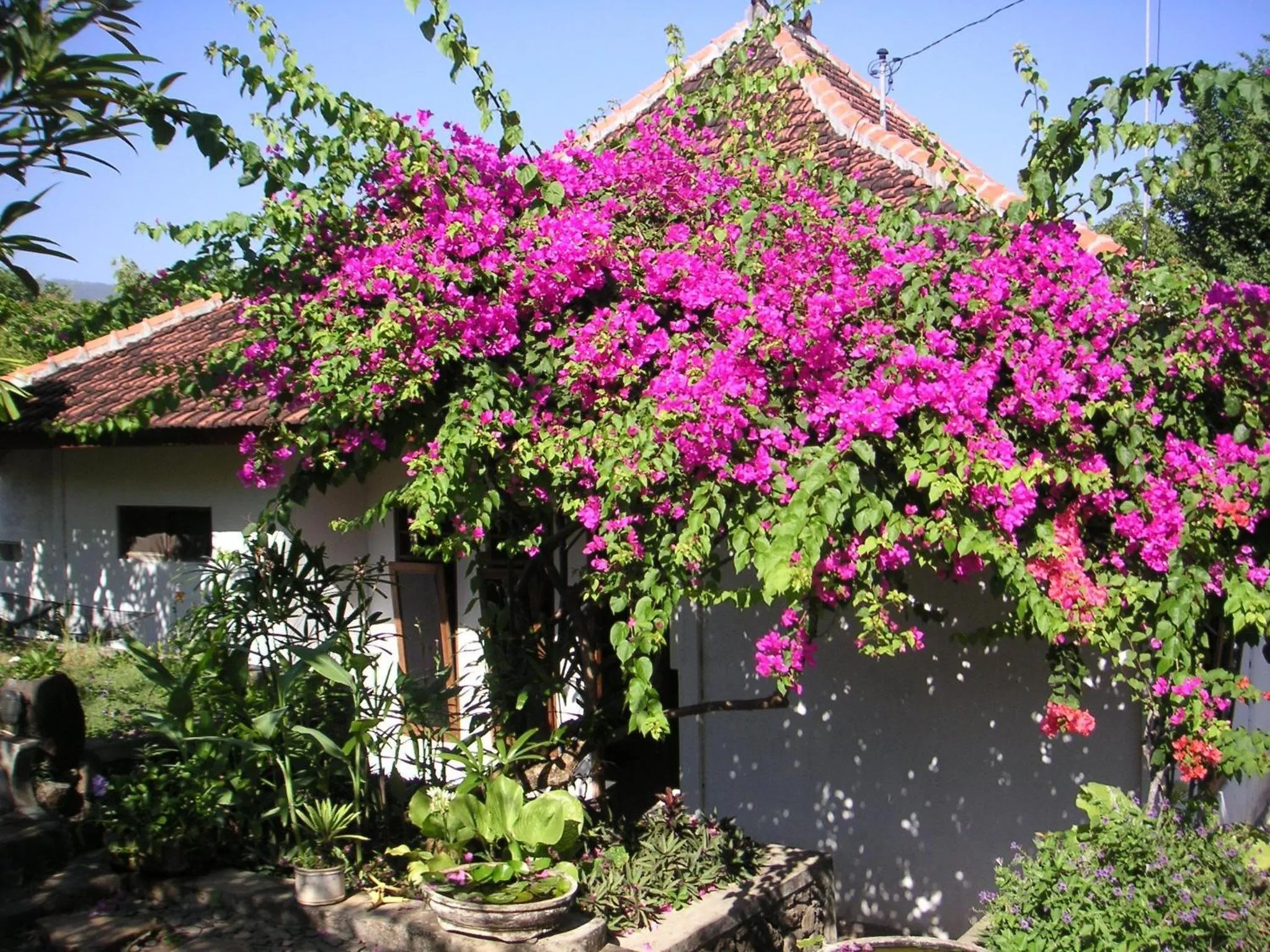 Facade/entrance in Sananda Bungalow