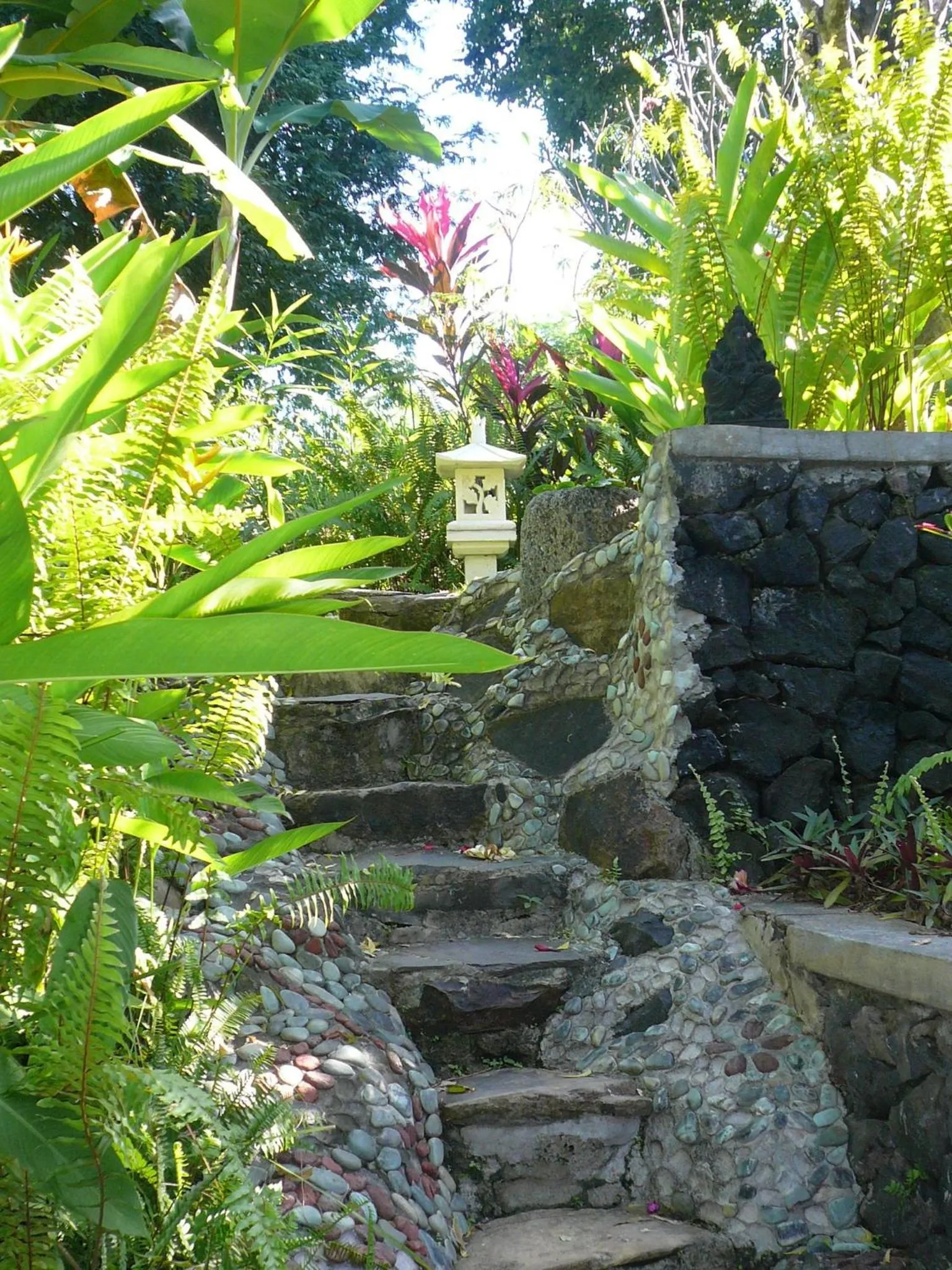 Garden in Sananda Bungalow