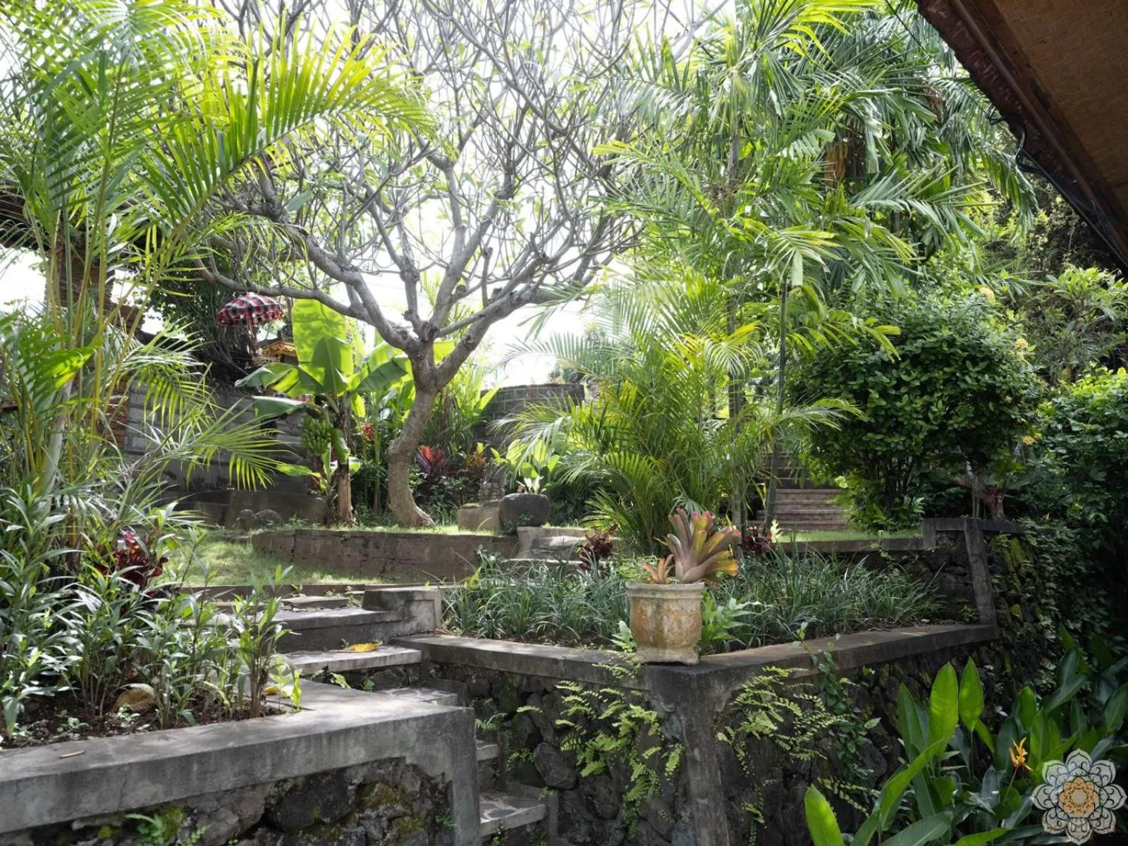Garden in Sananda Aryani