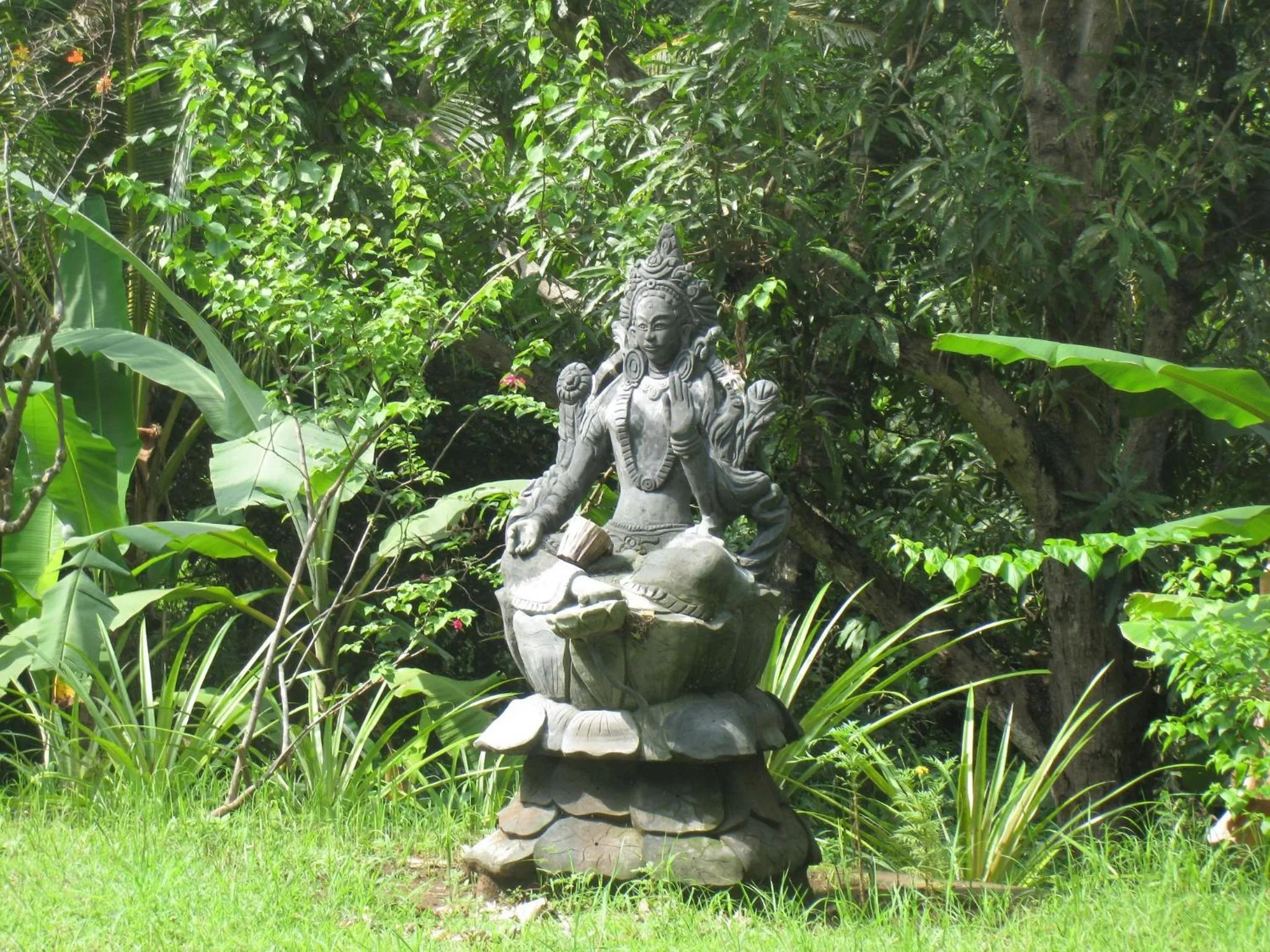Garden in Sananda Bungalow