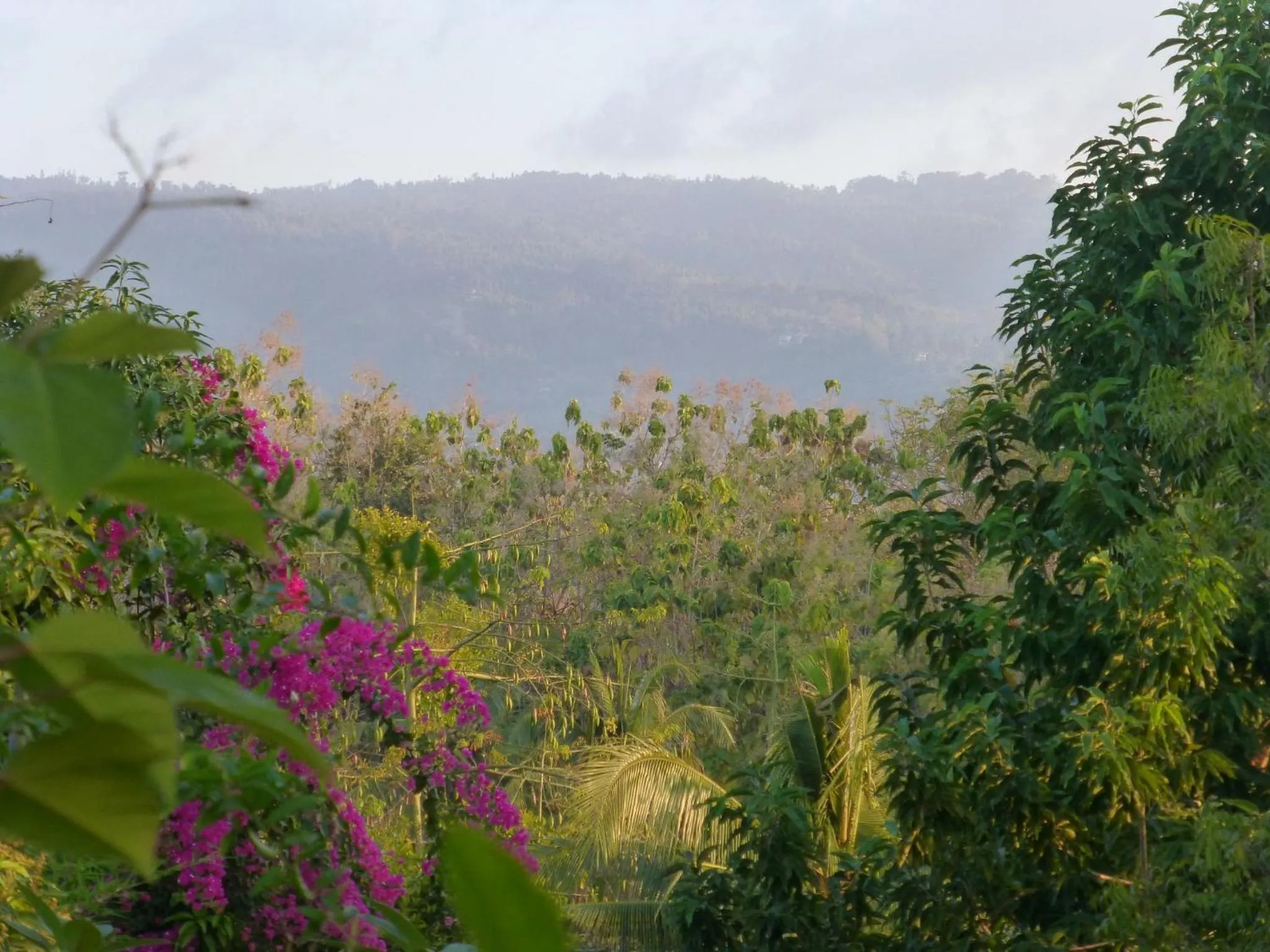 Natural landscape in Sananda Bungalow