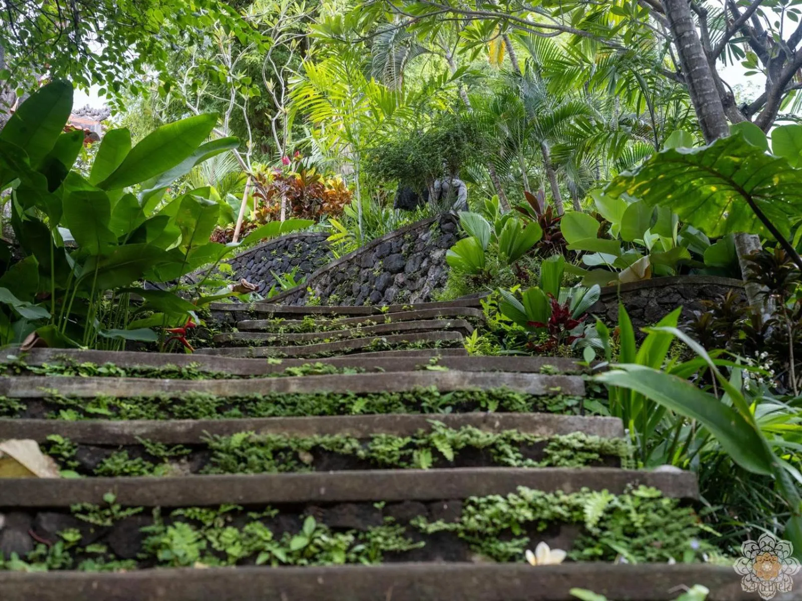 Garden in Sananda Aryani
