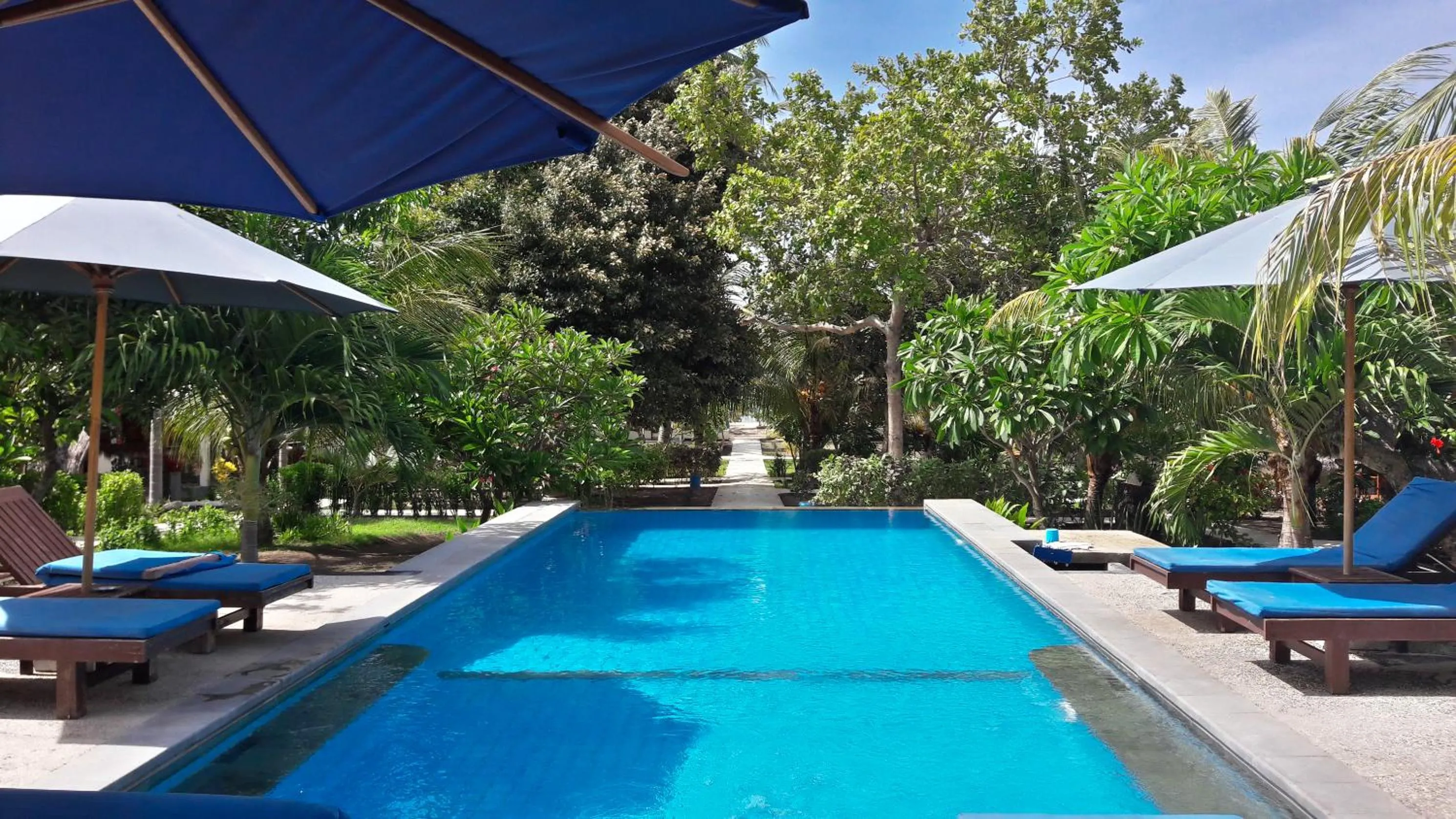 Swimming pool in Salili Bungalow