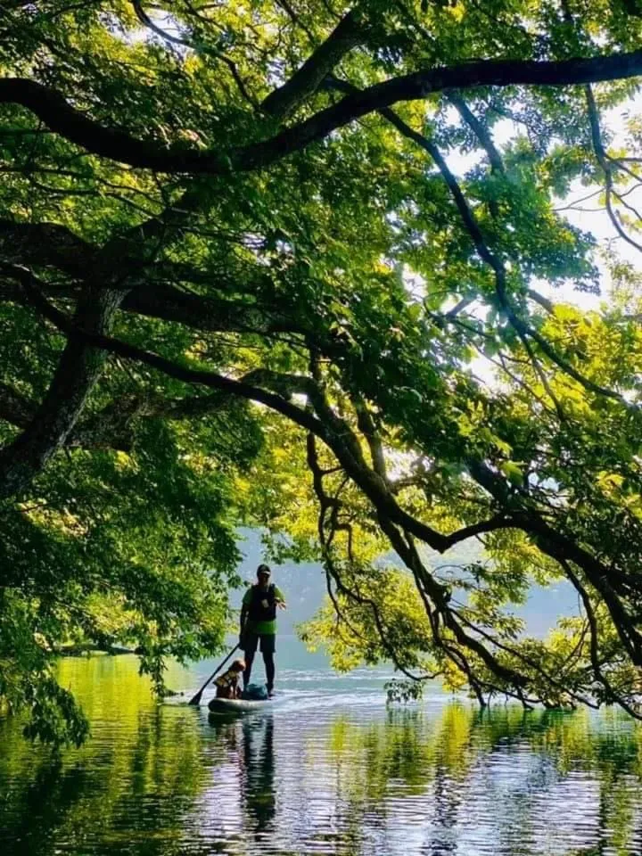 Kizuna Lodge & BBQ Centre