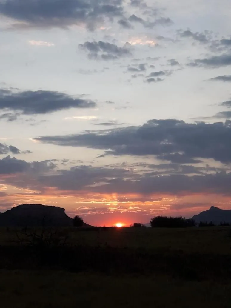 View (from property/room) in WILLOW MANOR