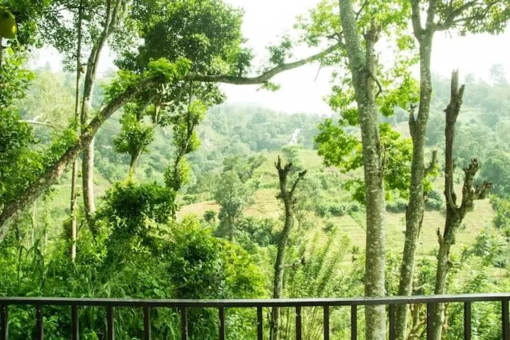 Mars Wonderland View