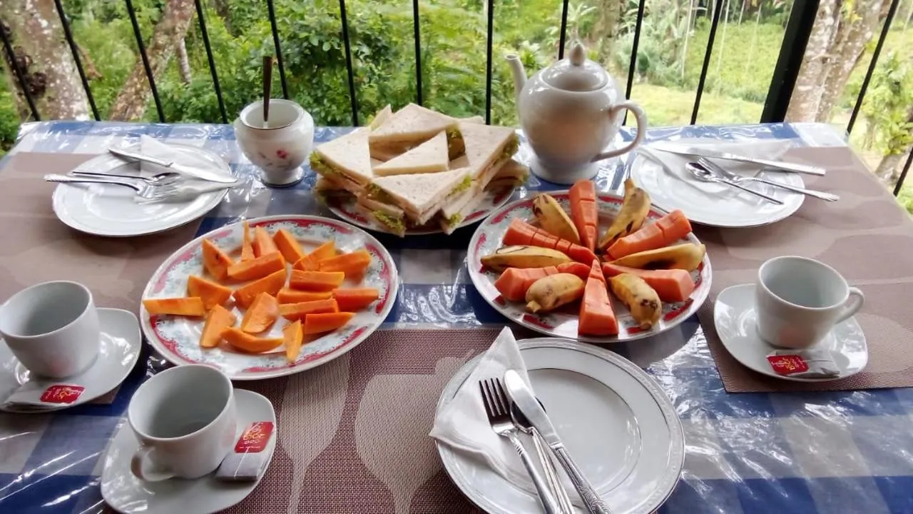 Mars Wonderland View