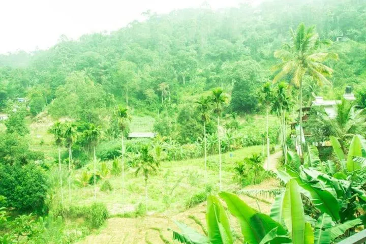 Mars Wonderland View